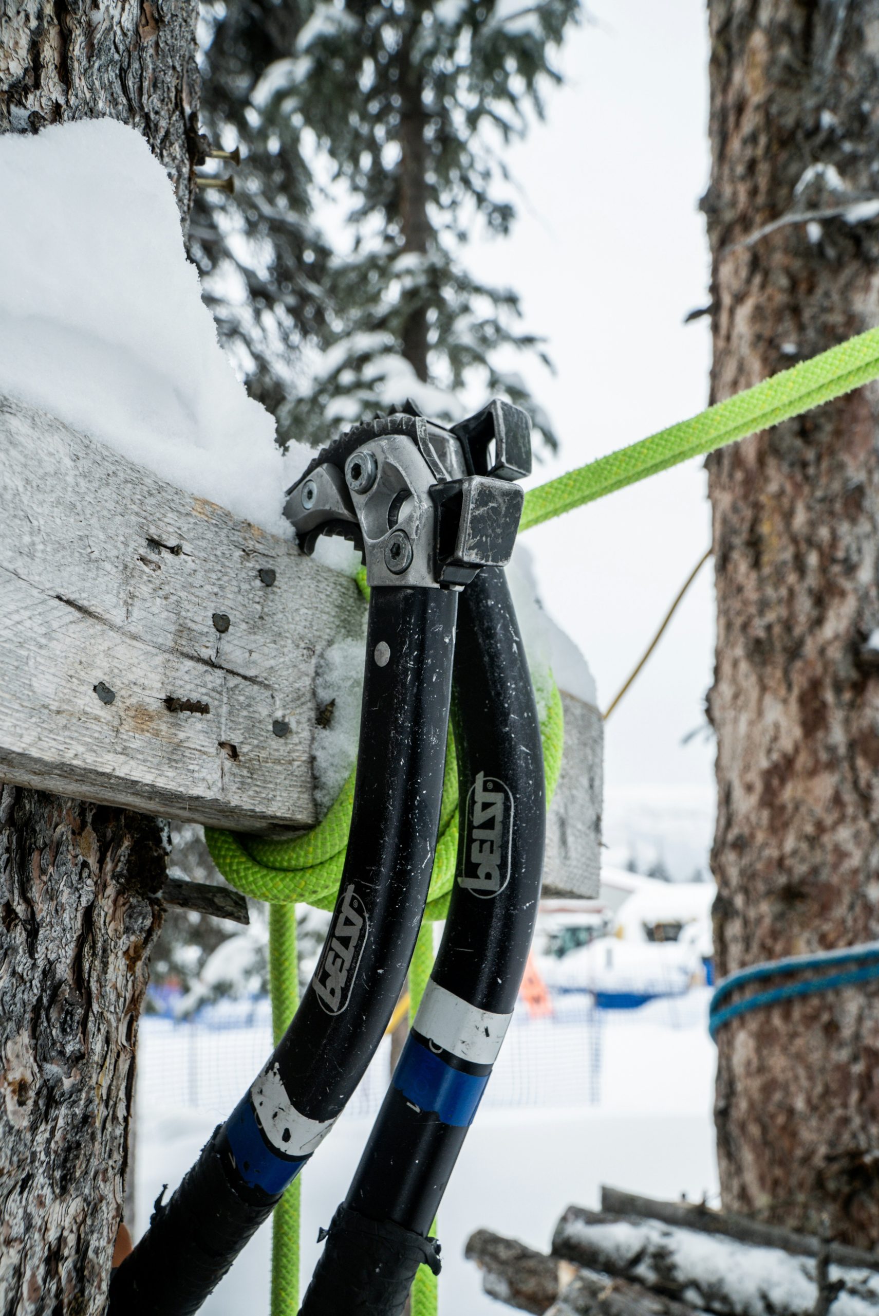 Climbing gear attached to a snowy tree