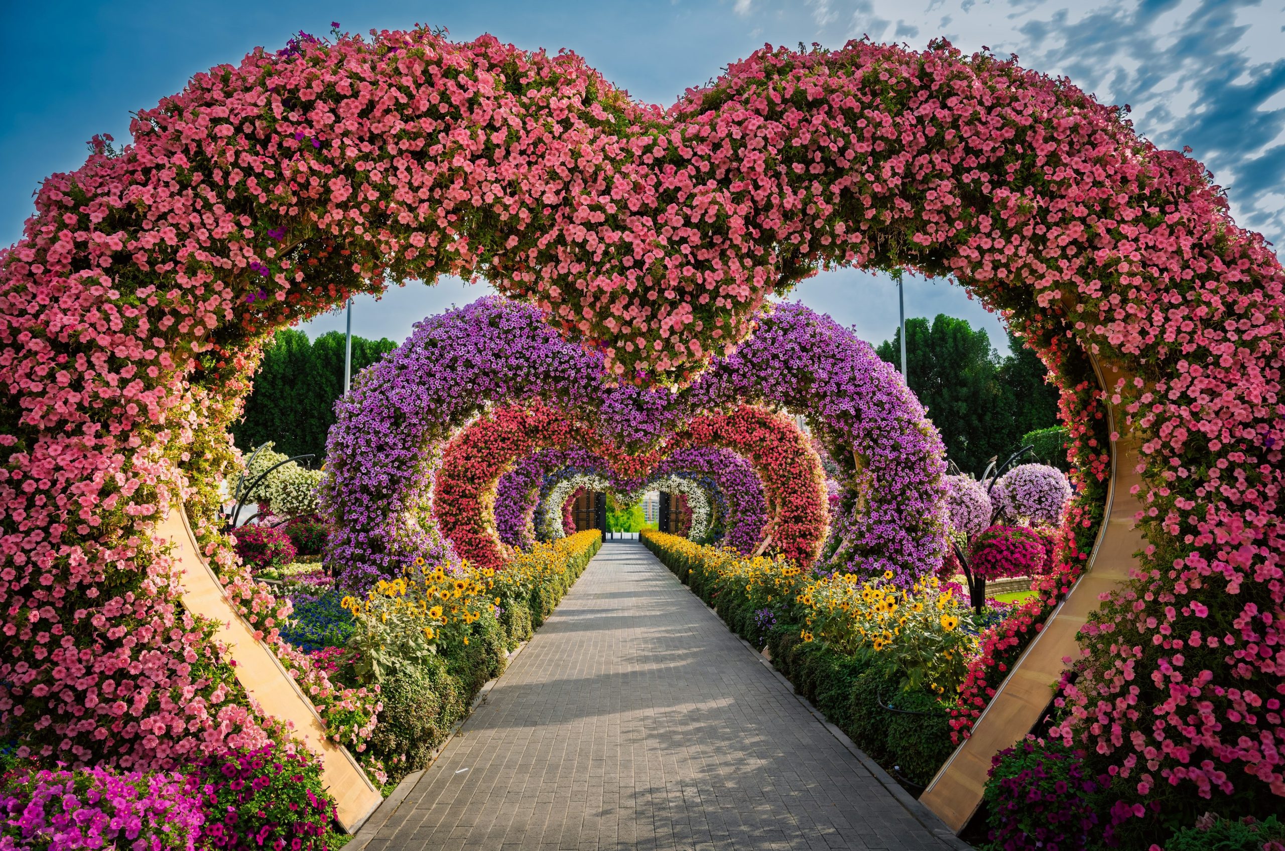 Heart-shaped floral archway over a garden path