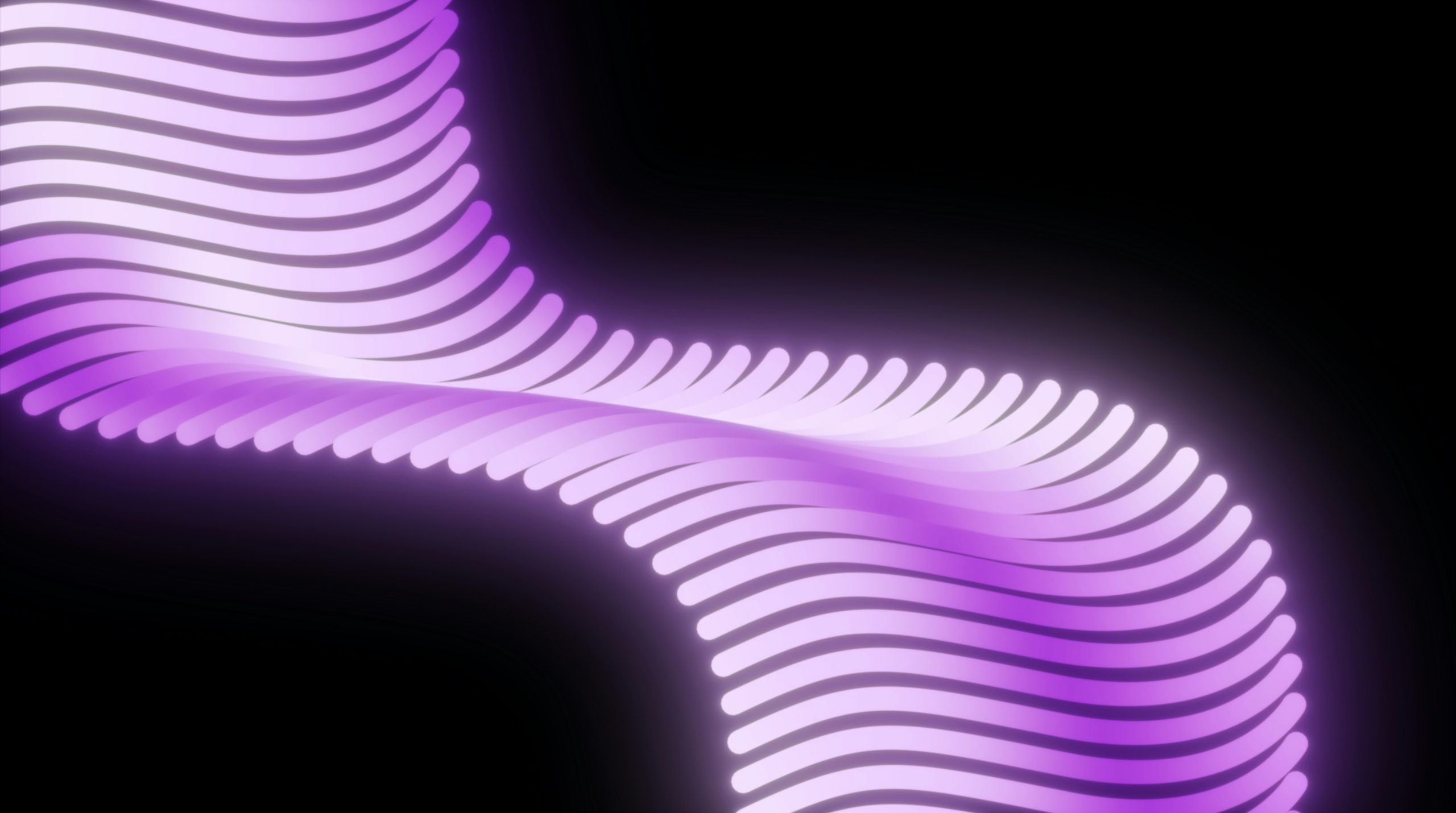 Abstract purple glowing wavy lines on black background
