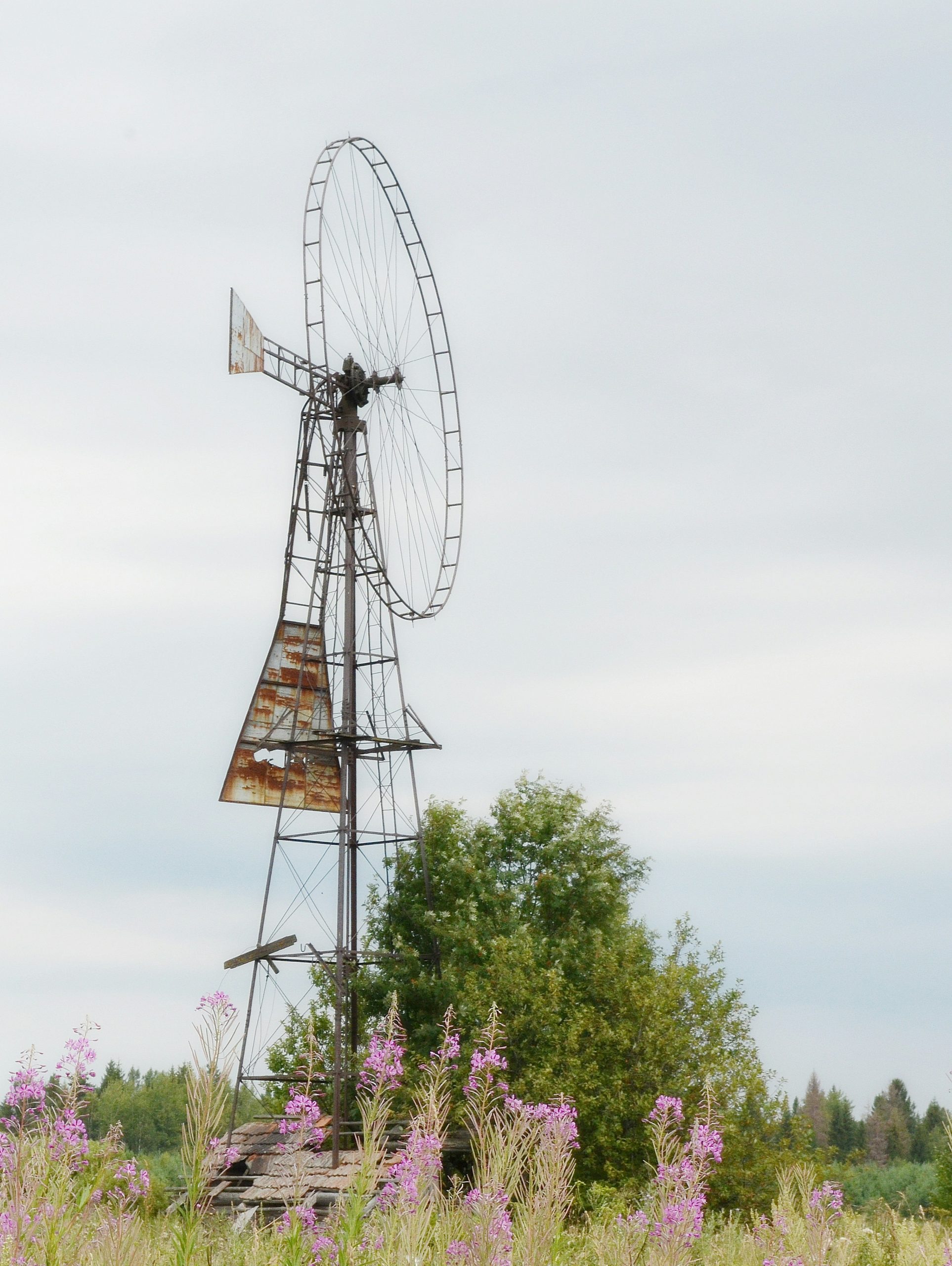An old windmill stands in a field with flowers.