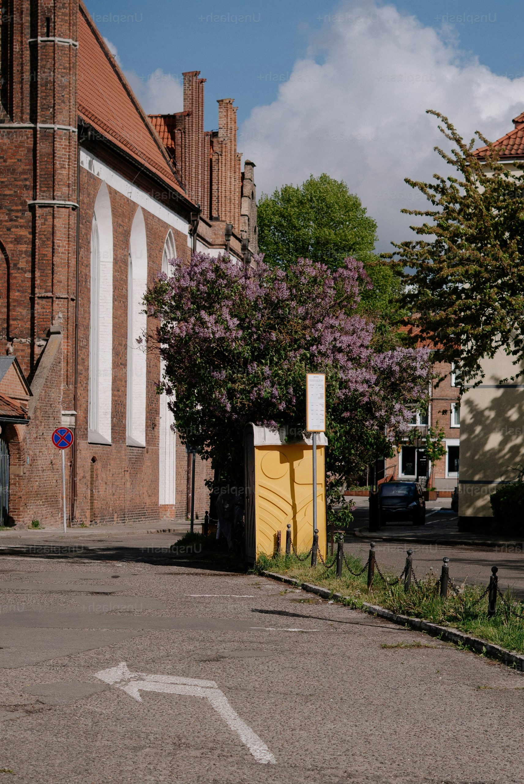 Brick building with arched windows and flowering lilac bush.