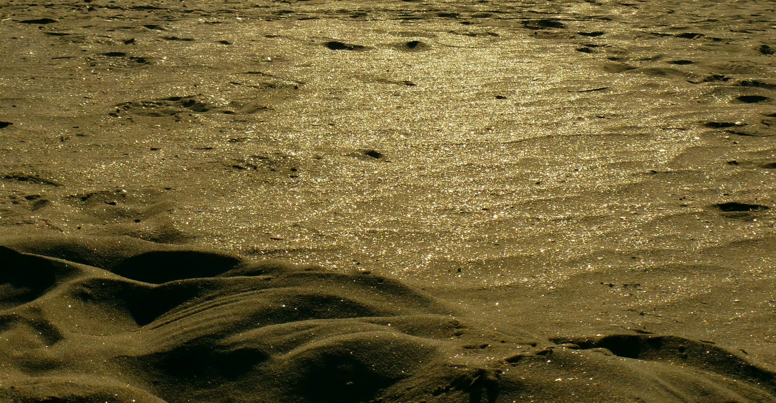 Rippled sand dunes with sparkling highlights