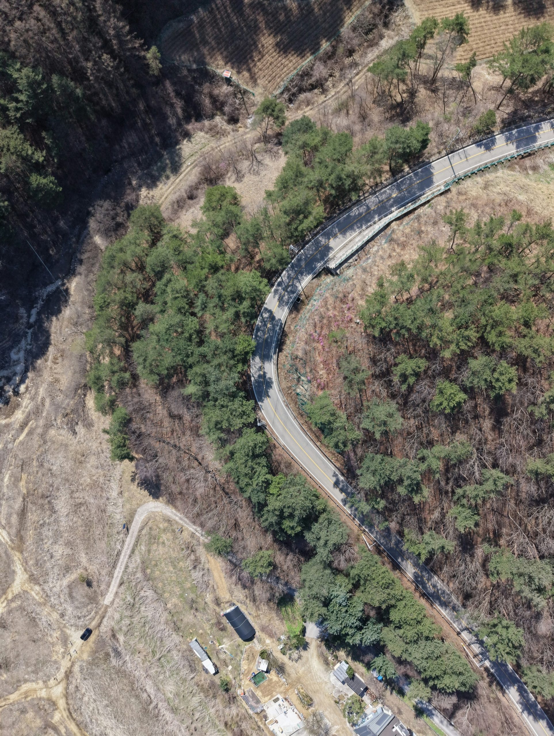 Winding road through a forest with some buildings.