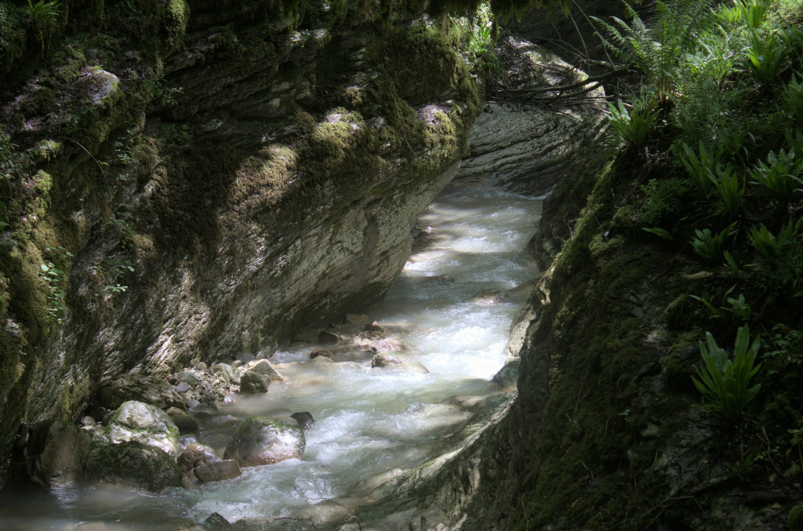 A narrow stream flows through a lush, green canyon.