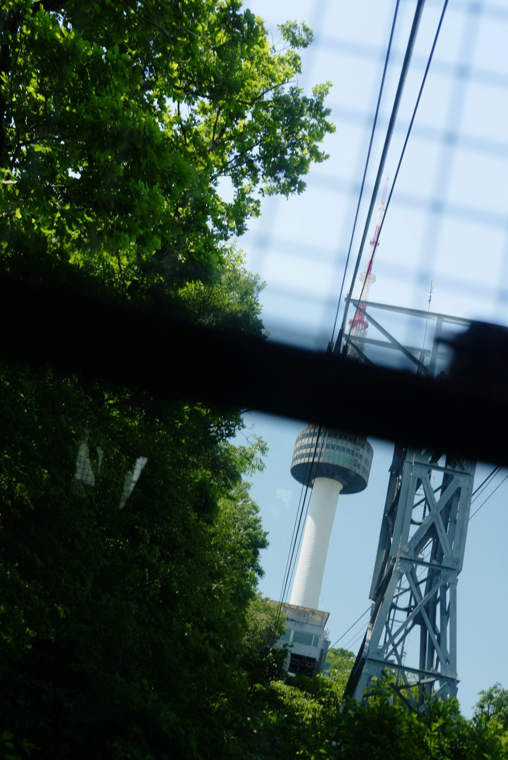 A tall observation tower surrounded by green trees and cables.