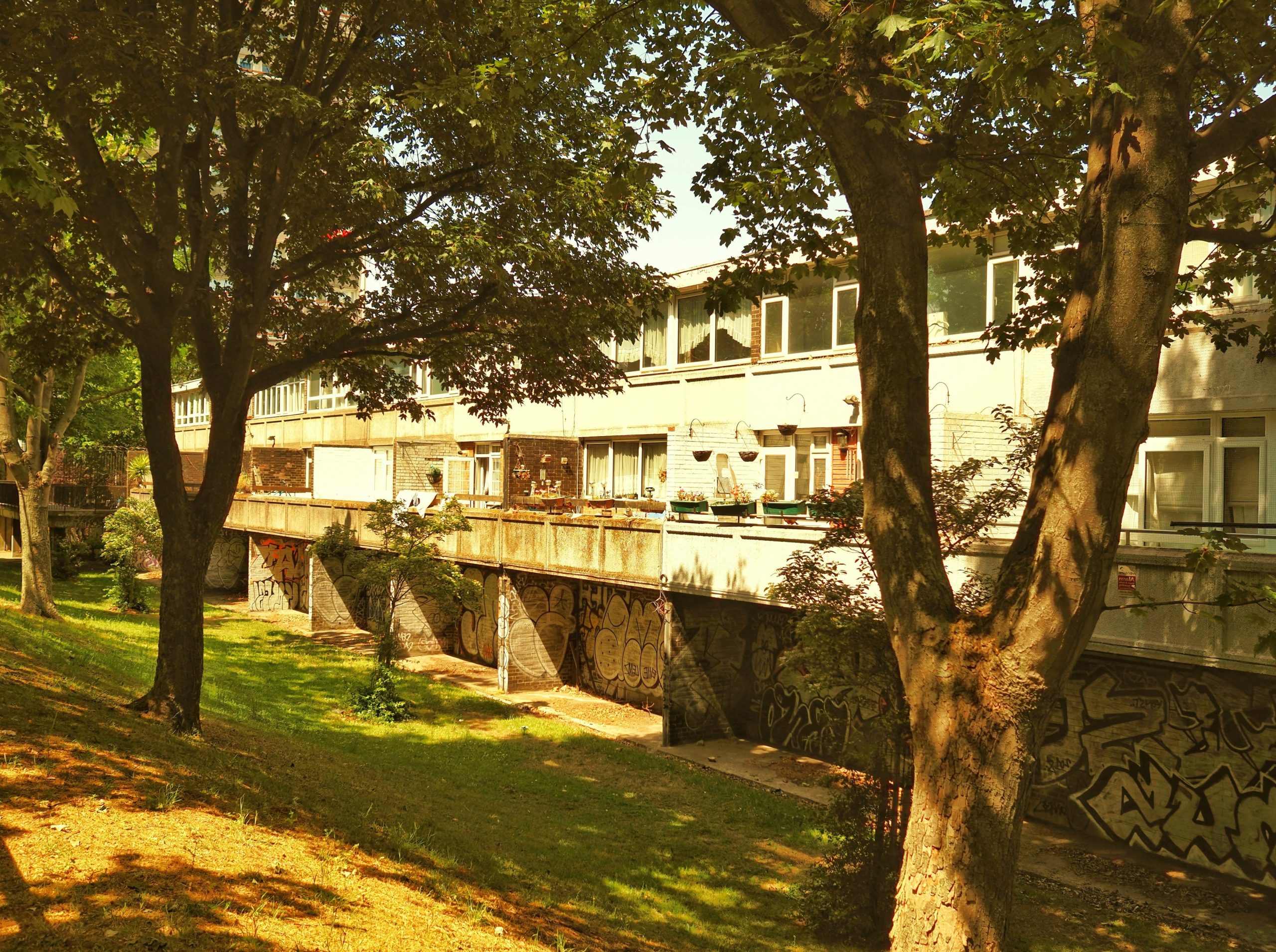 Building with balconies and trees on a sunny, grassy hillside.