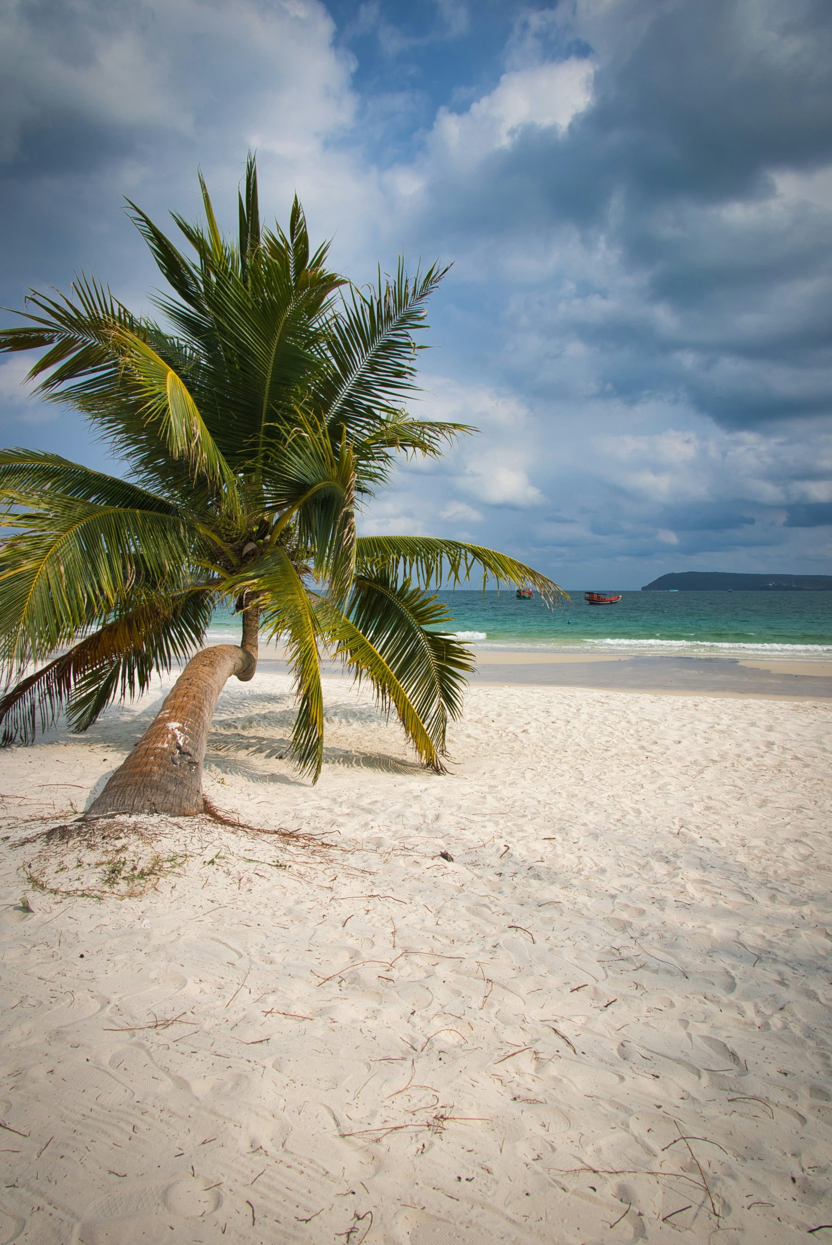 Leaning palm tree on white sand beach under cloudy sky.