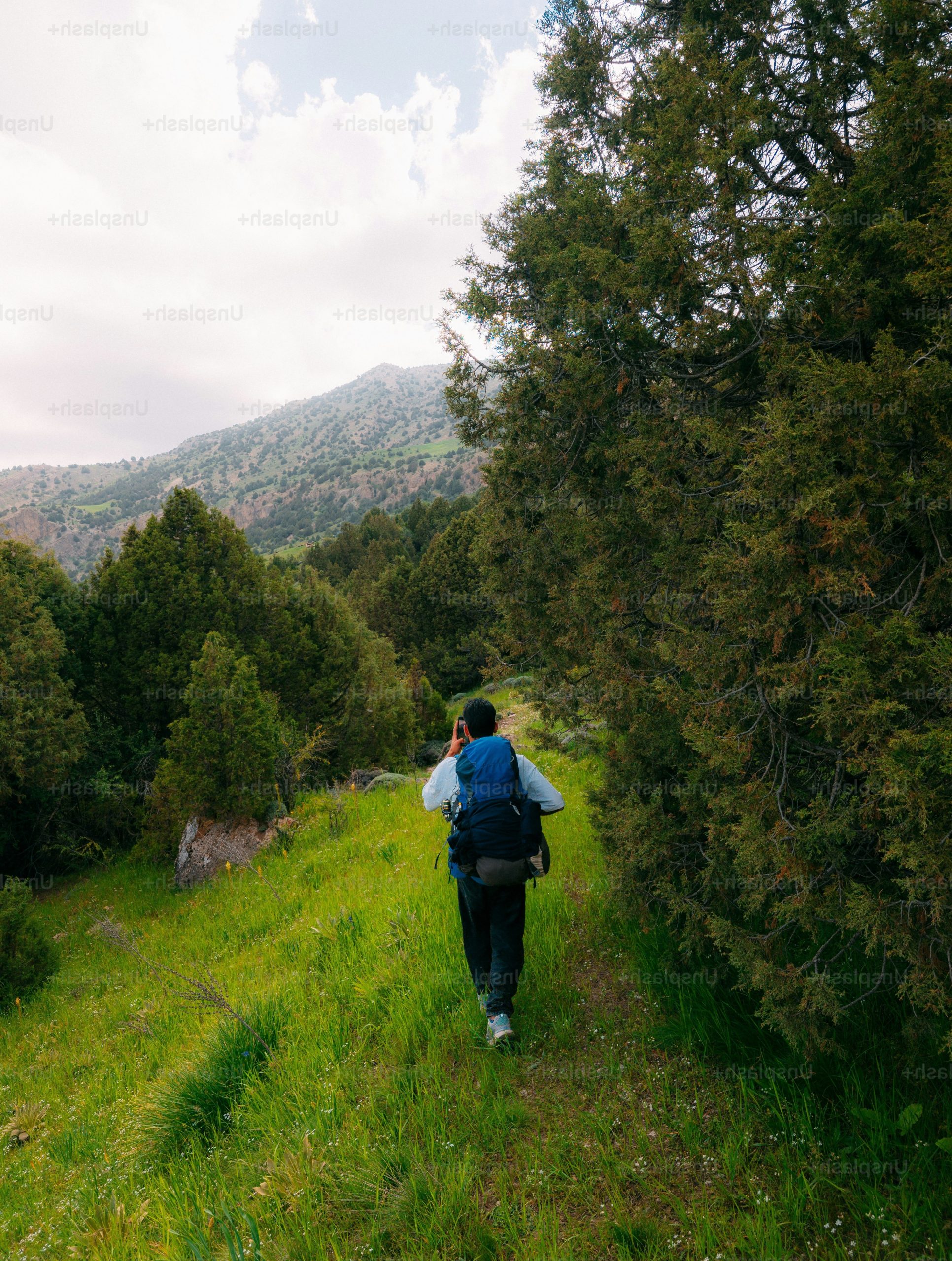 Man with backpack hiking on a green mountain trail.