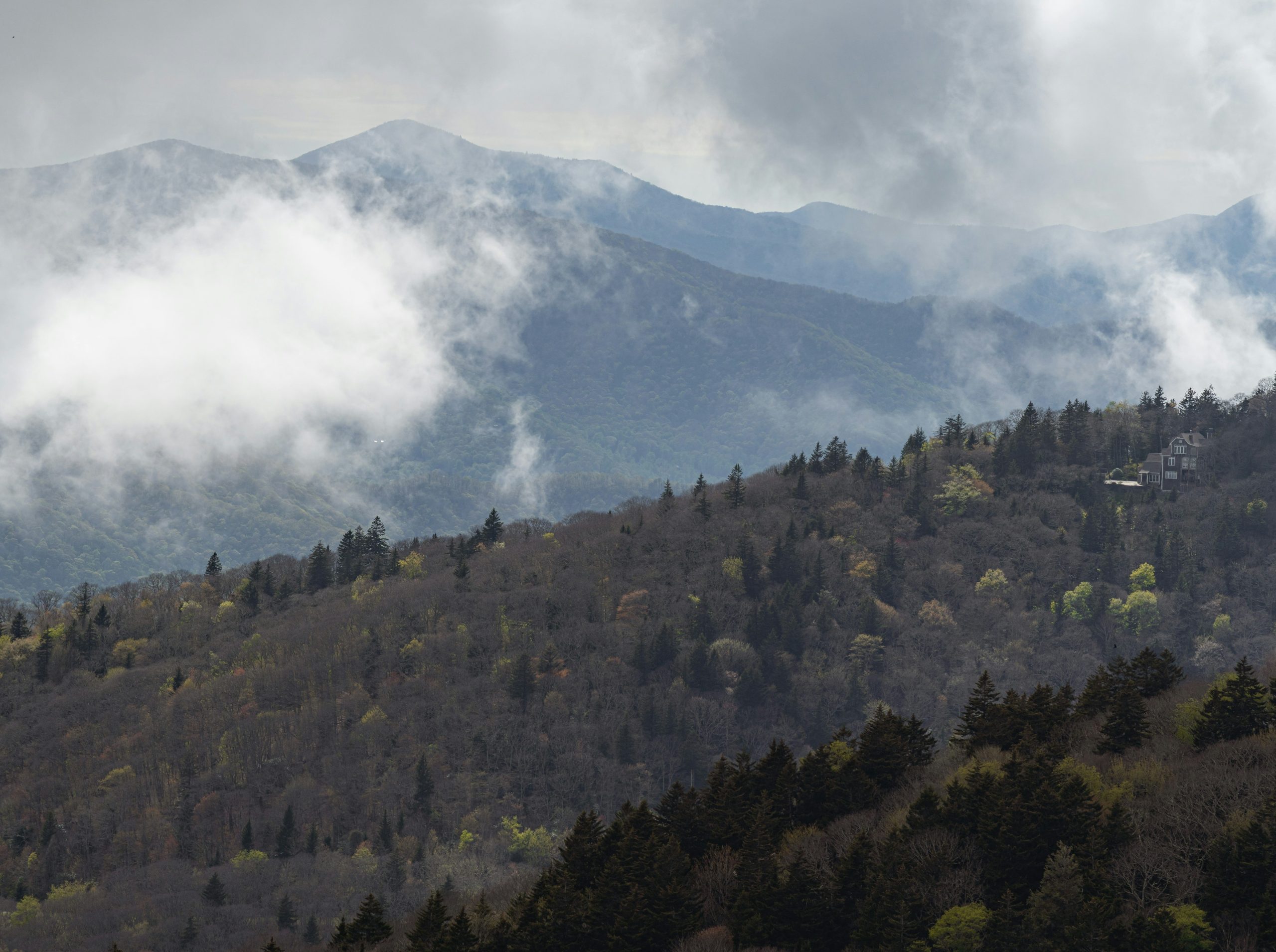 Misty mountains with trees on slopes