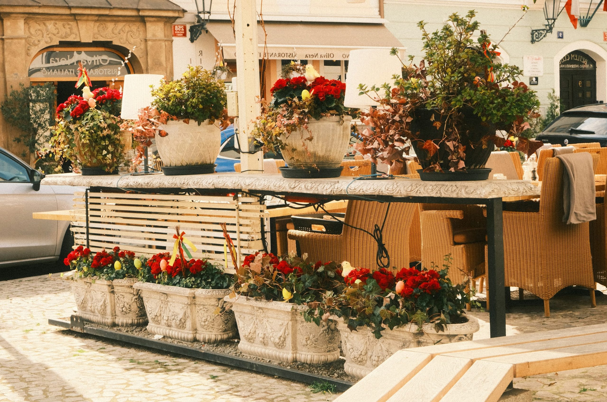 Outdoor cafe seating with potted red flowers