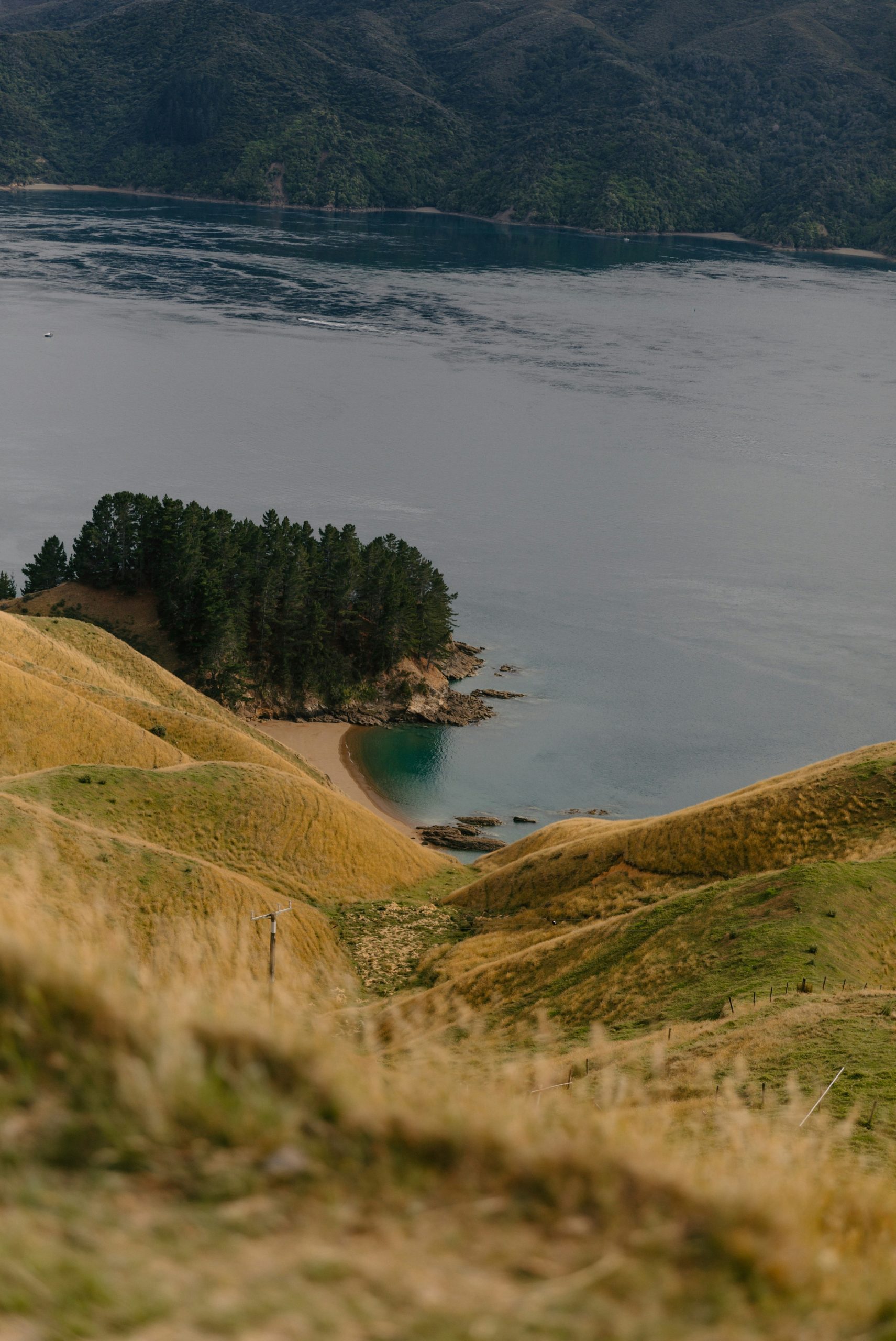 Rolling hills lead to a secluded cove with pine trees.