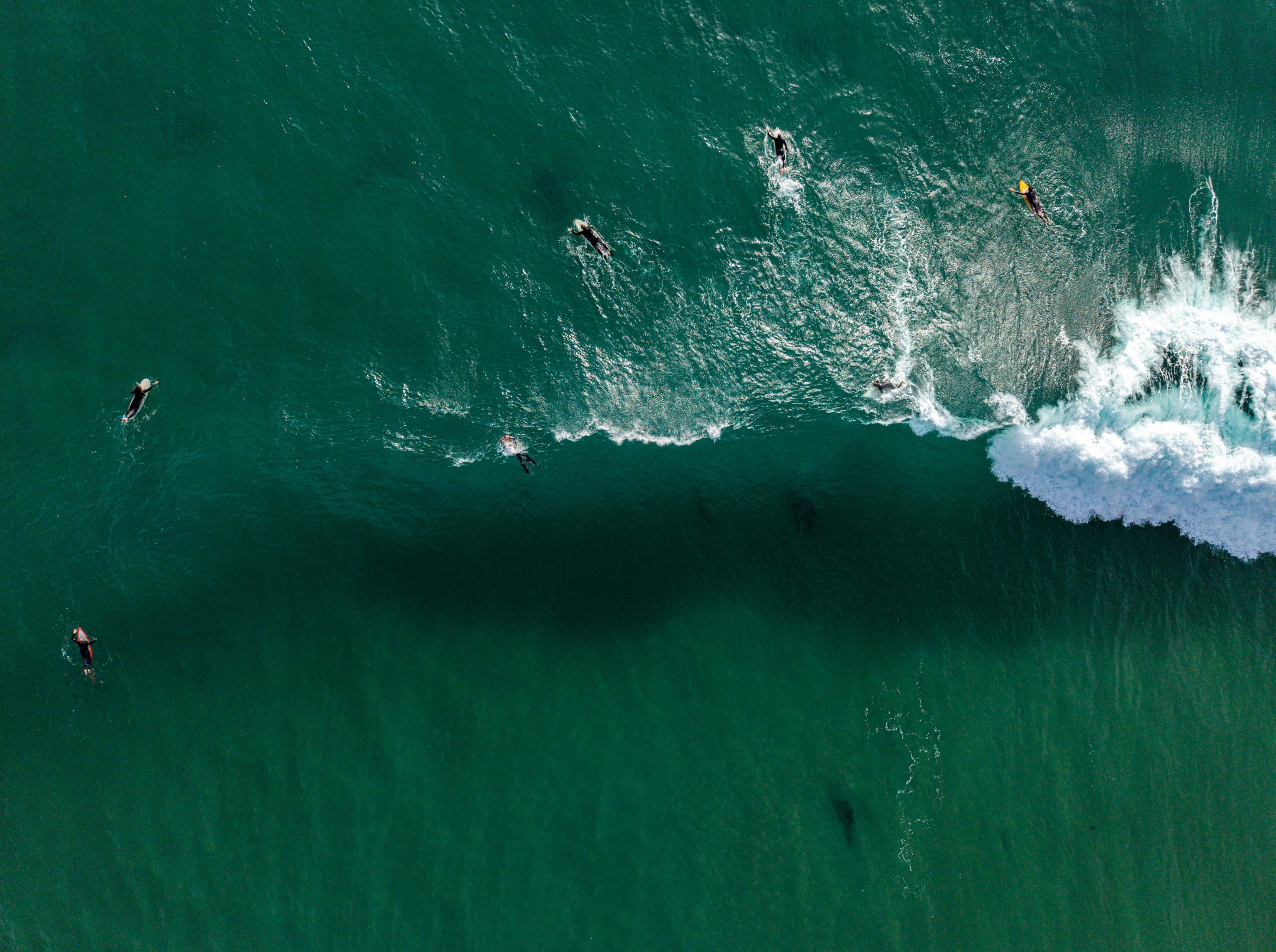 Surfers in emerald ocean water with a white breaking wave.