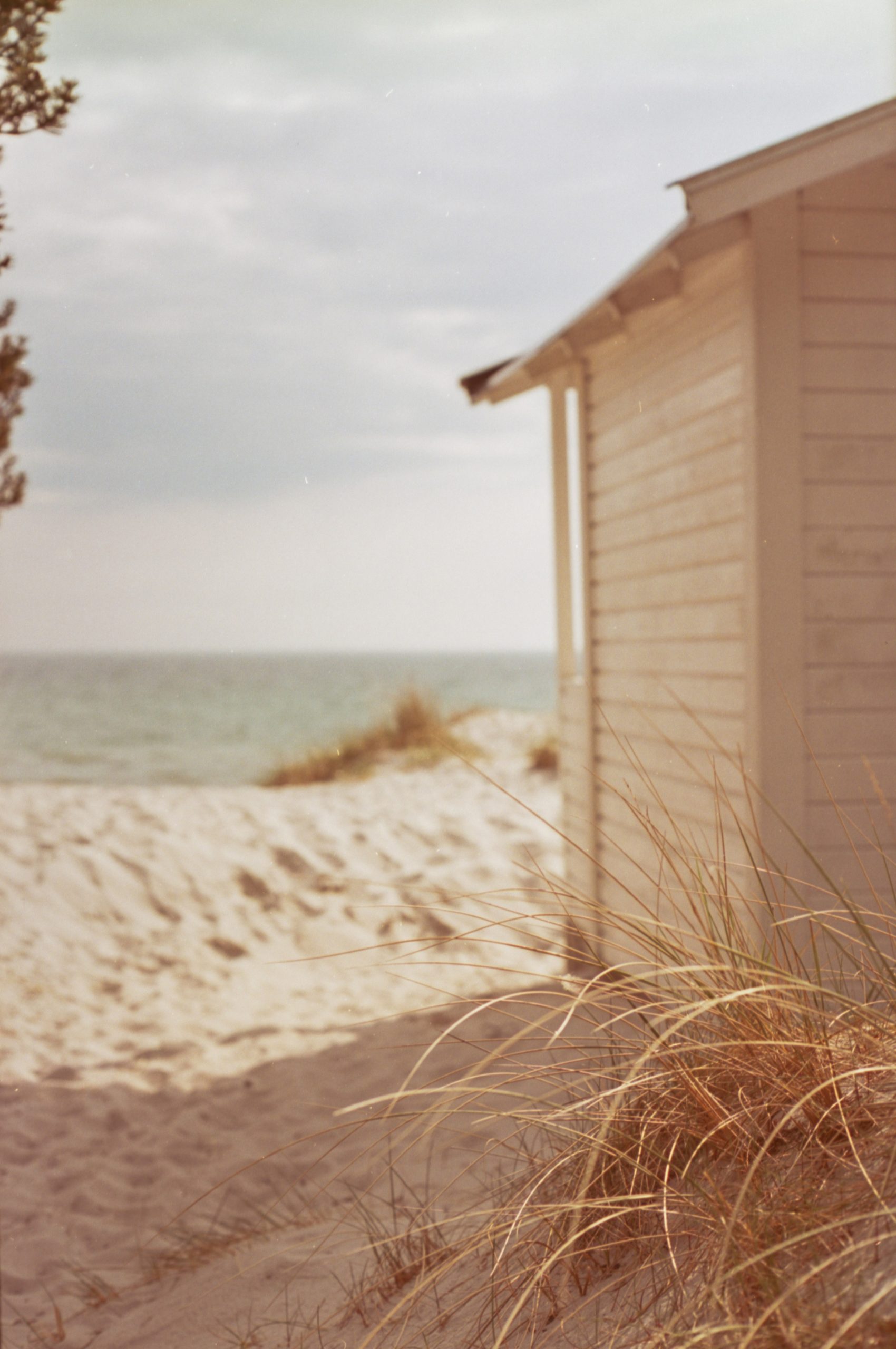 A white beach hut by sandy dunes and the ocean.