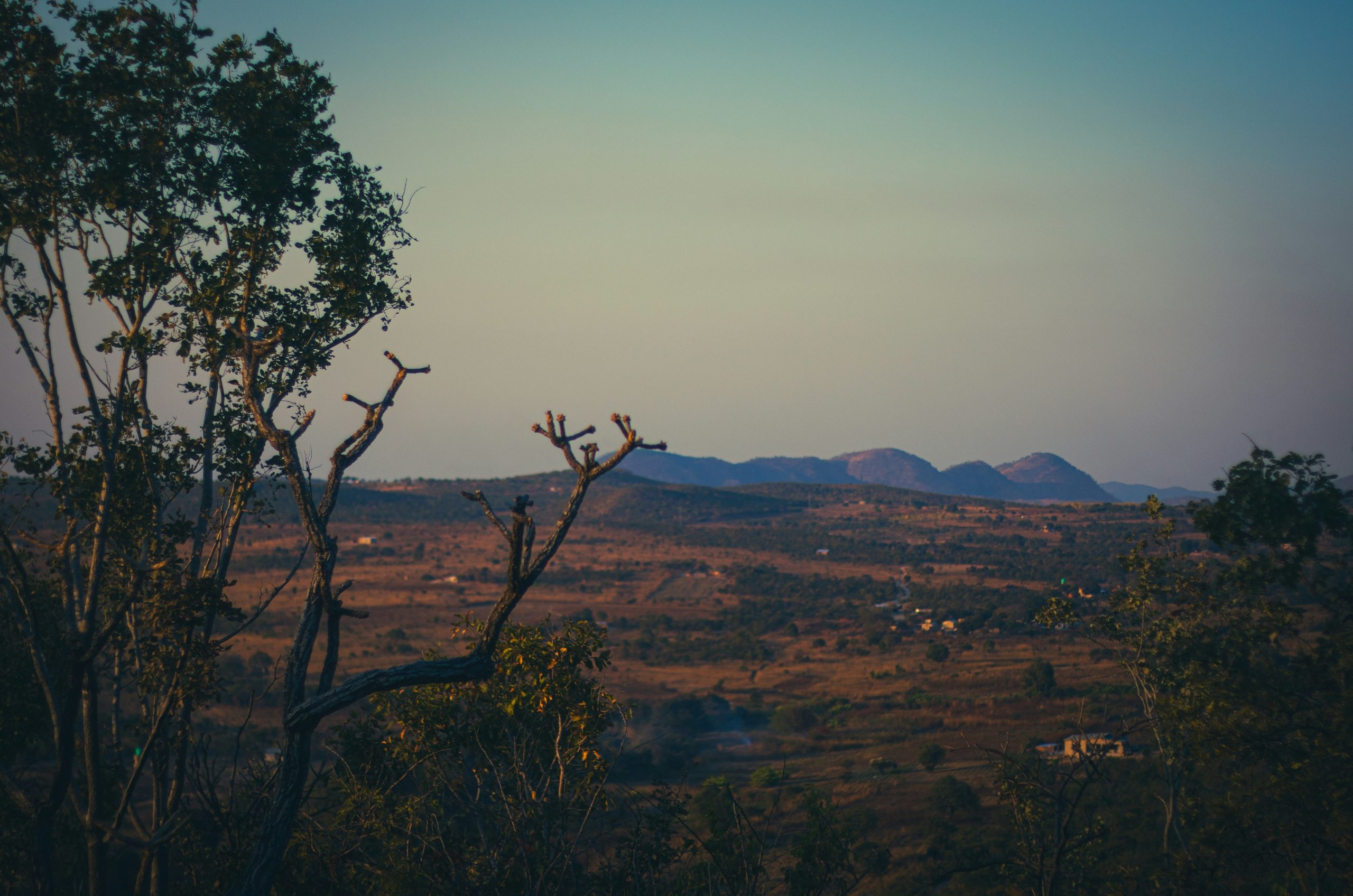 Arid landscape with distant mountains and foreground foliage.