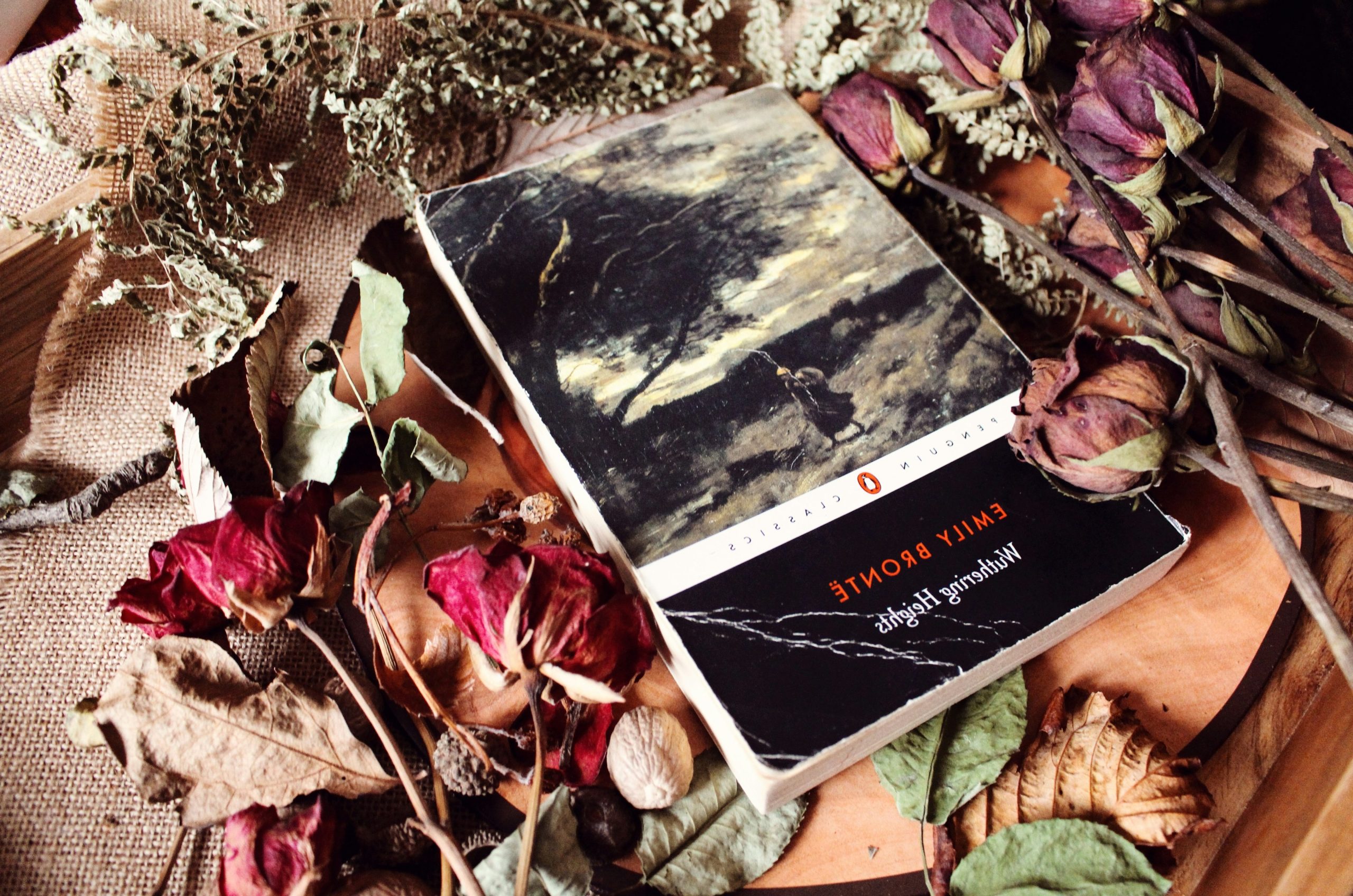 Classic novel wuthering heights surrounded by dried flowers and leaves.