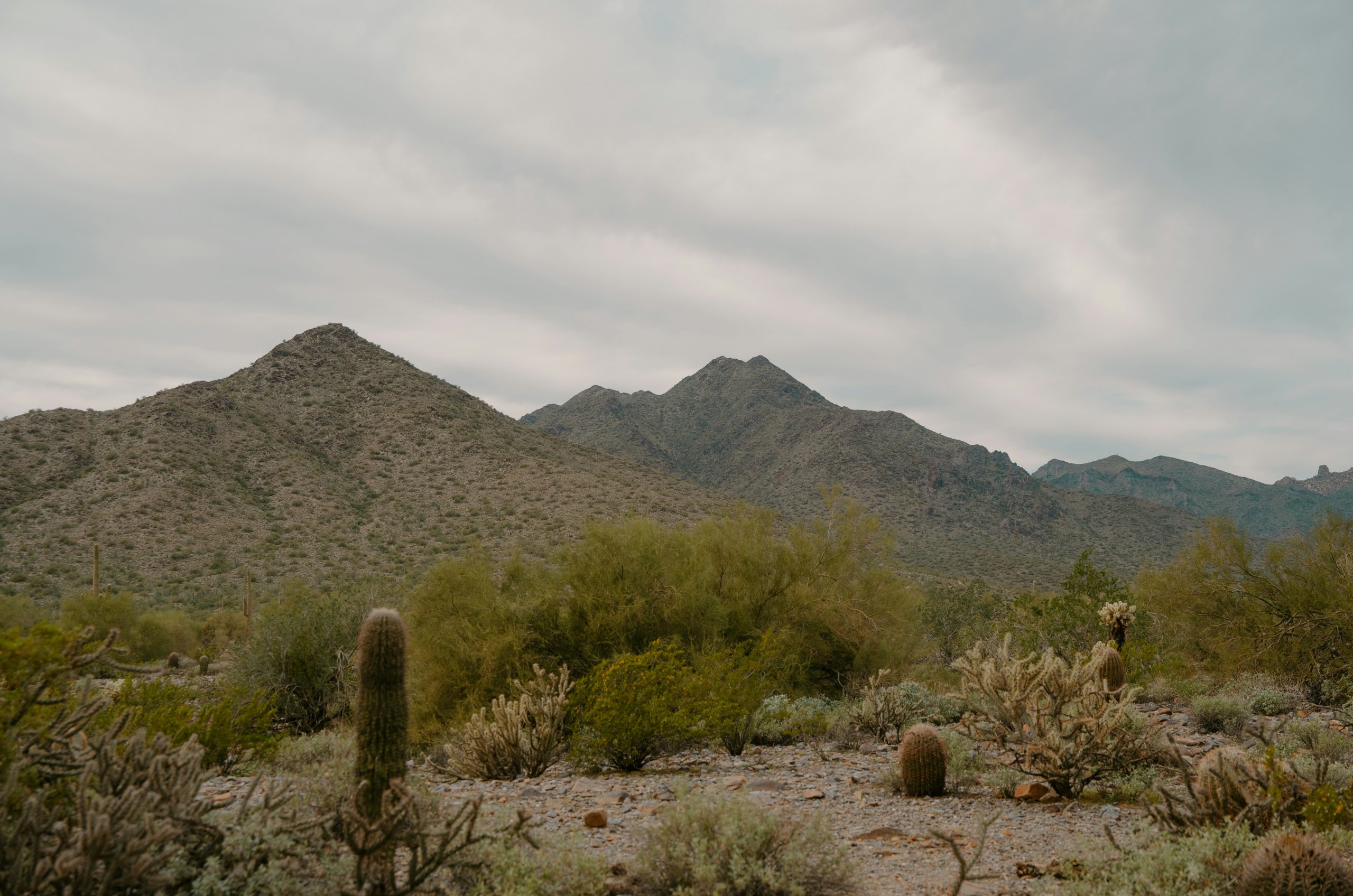 Desert landscape with mountains and cacti under a cloudy sky.