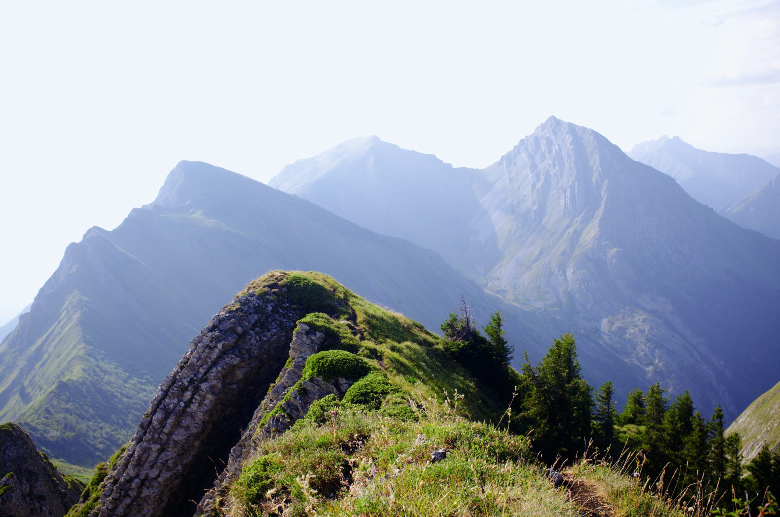 Grassy mountain ridge overlooking hazy distant peaks.
