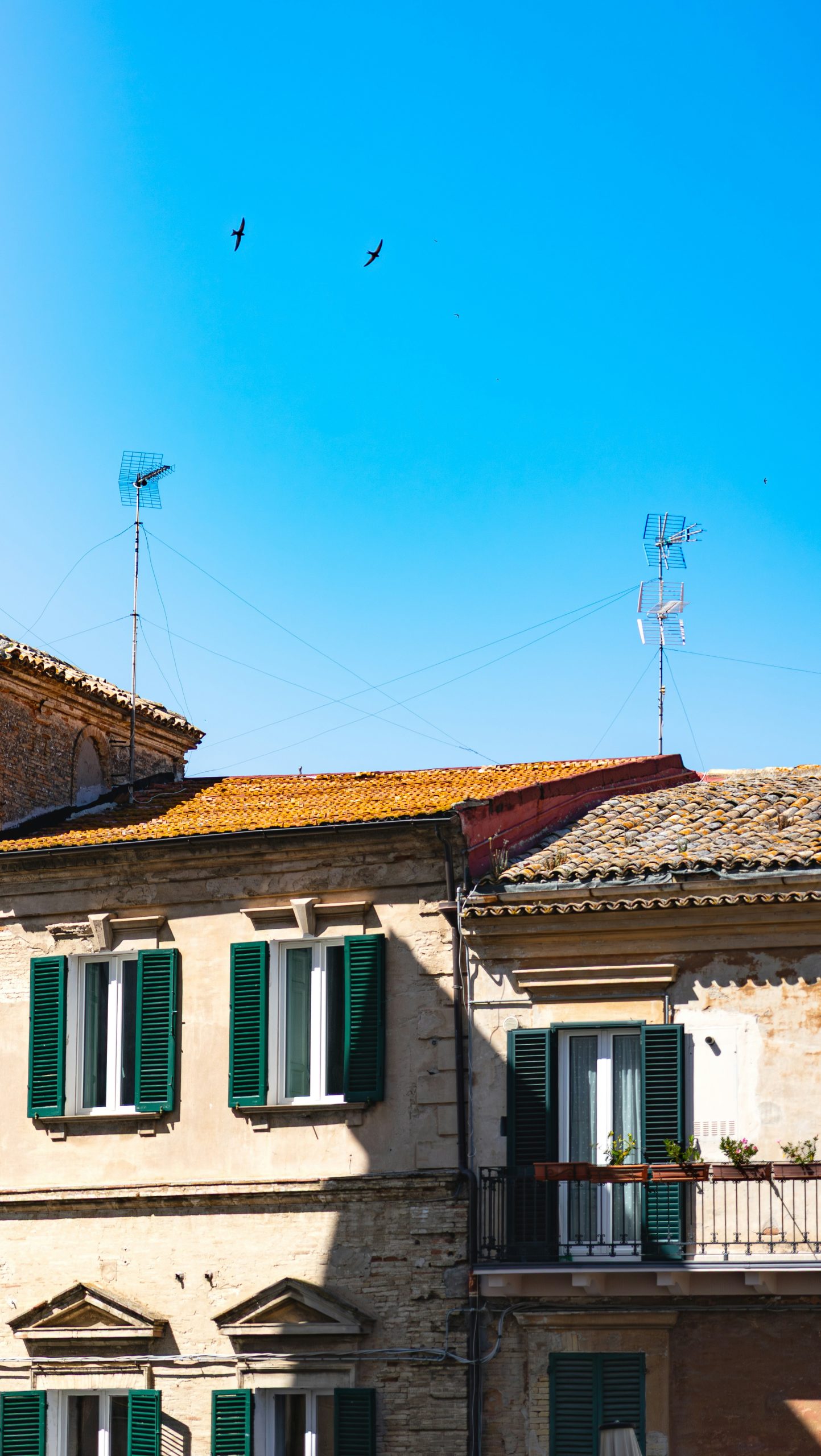 Green-shuttered buildings, tiled roofs, and birds flying in blue sky.