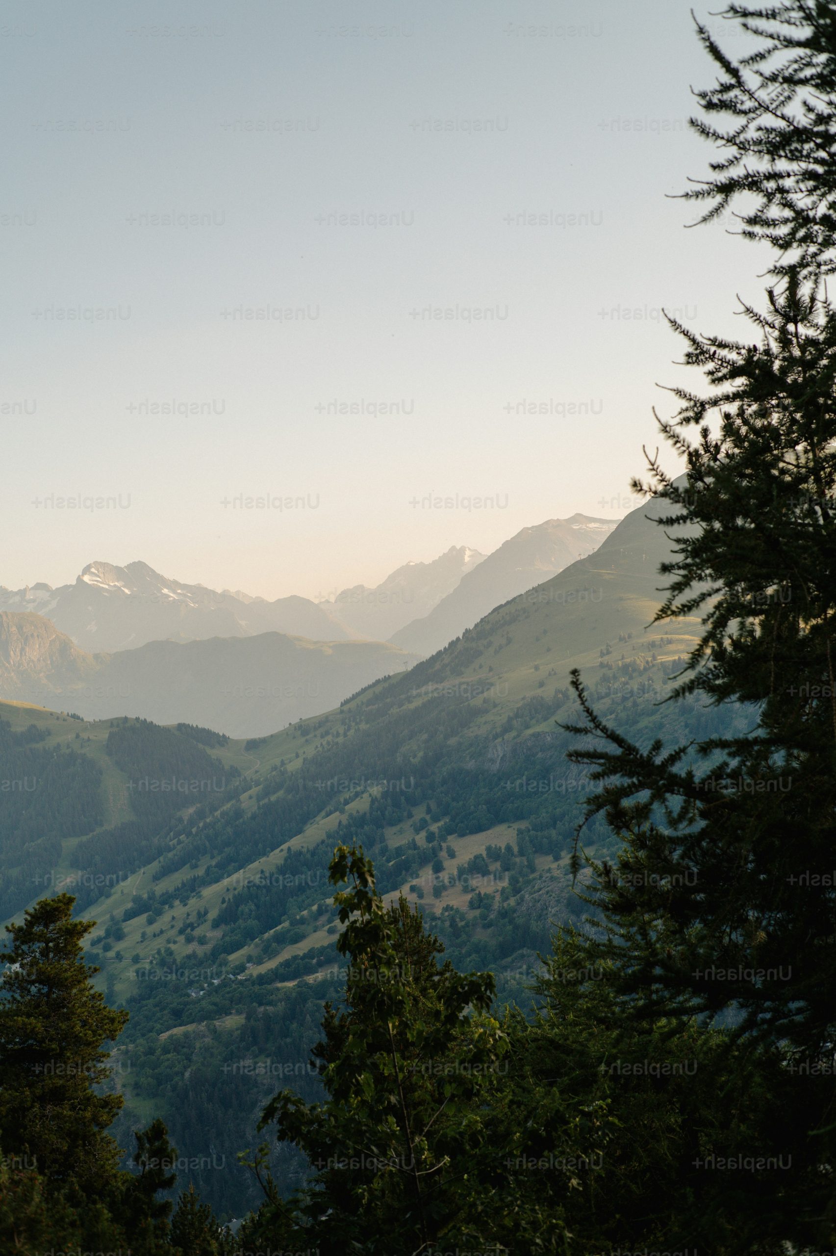 Hazy mountain landscape framed by dark trees