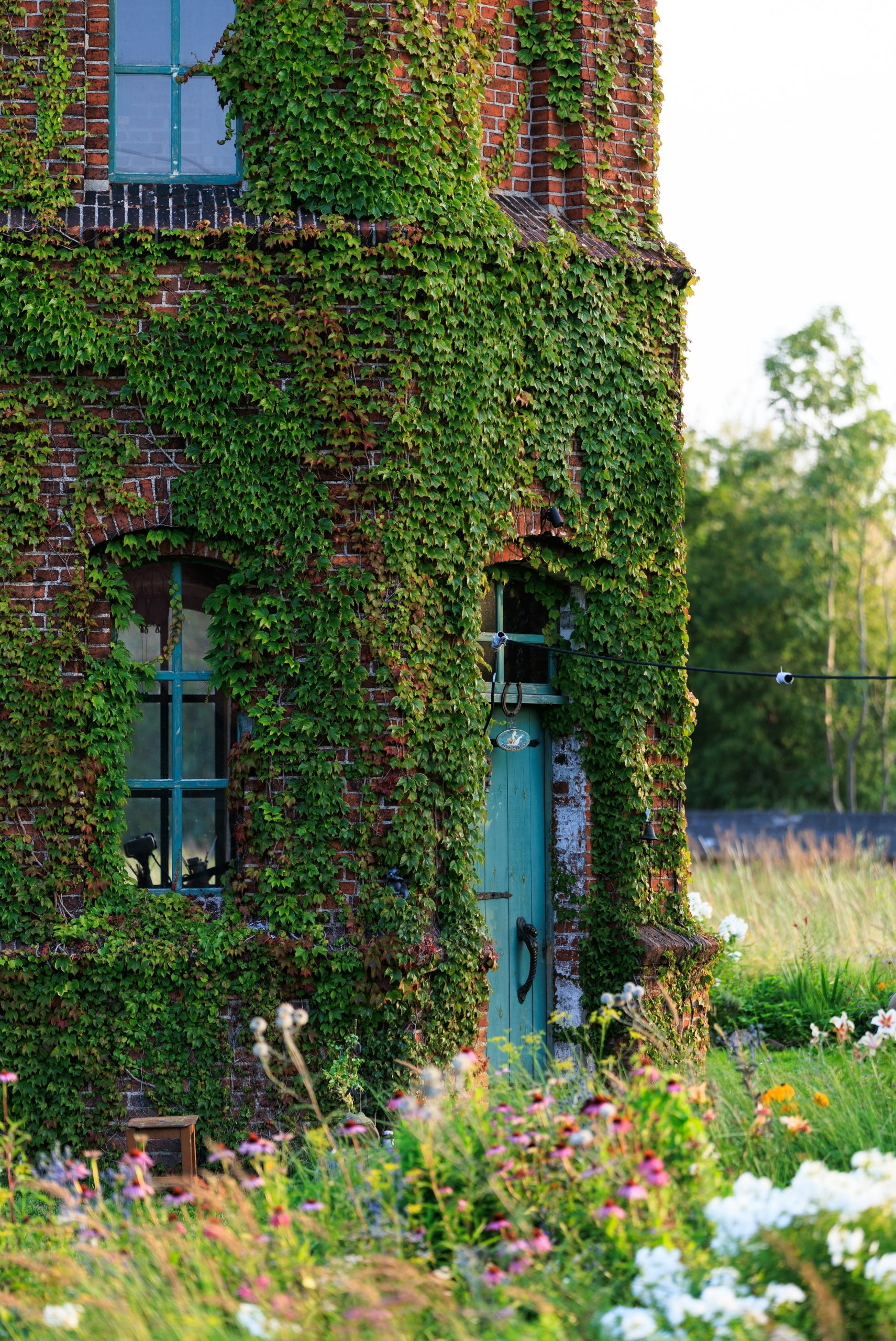 Old brick building covered in ivy with a turquoise door.