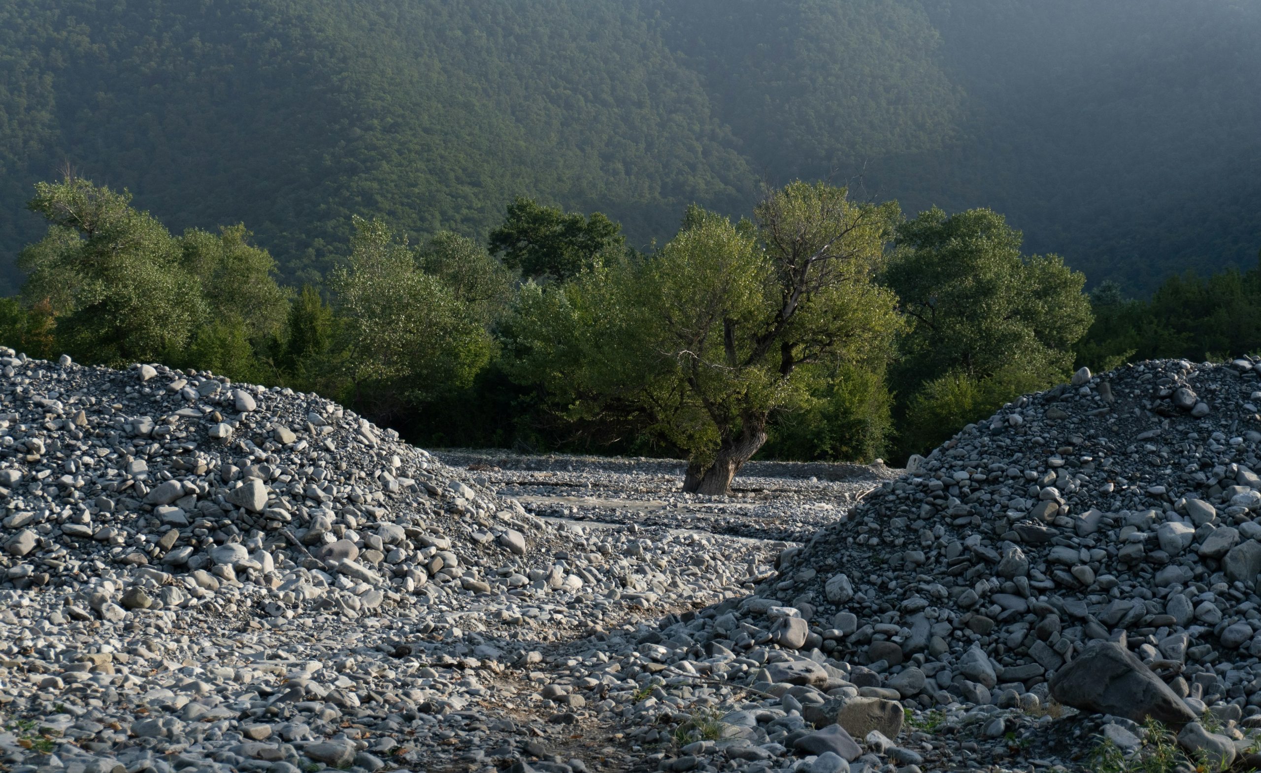 Rocky landscape with green trees and distant mountains.