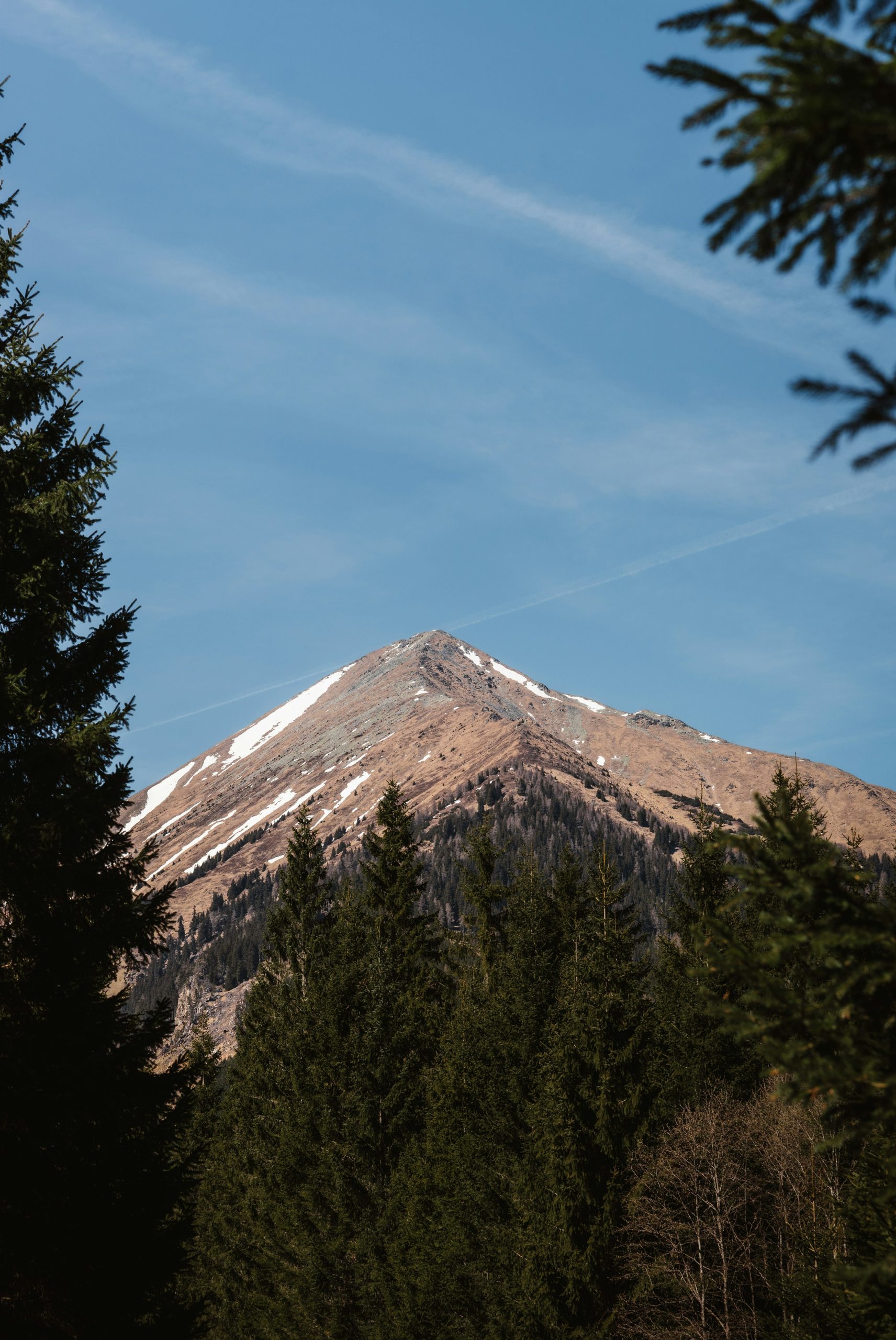 Snow-capped mountain peak framed by evergreen trees under blue sky.