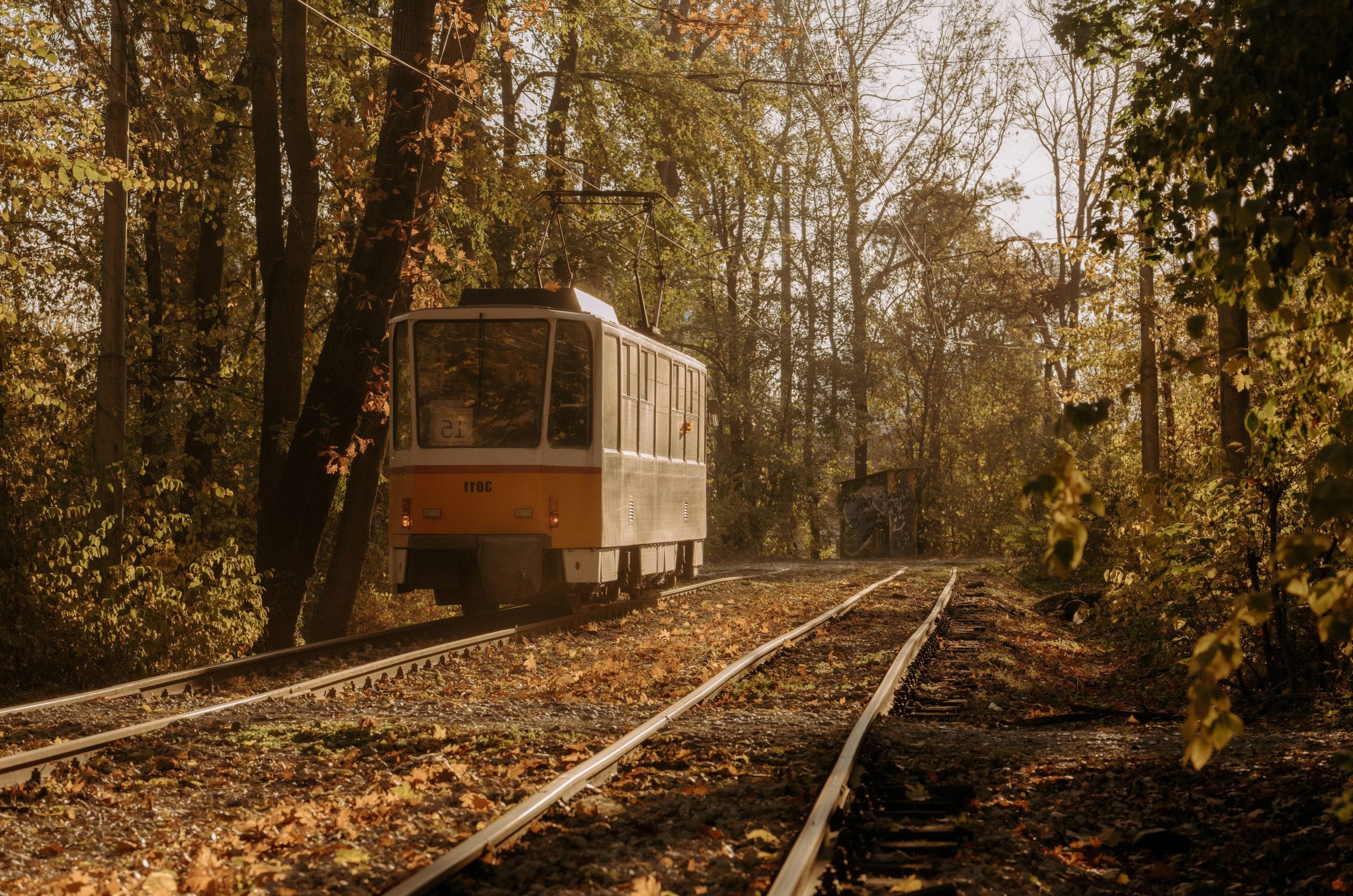 Sofia tram on tracks through autumn trees
