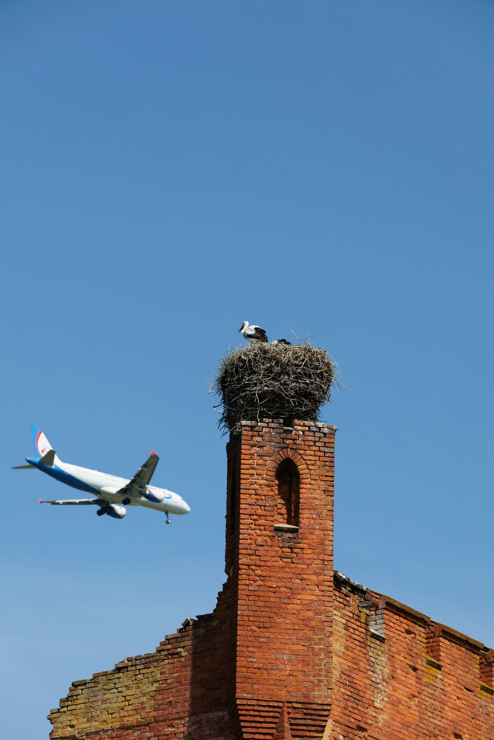 Stork in nest on brick tower with airplane flying.
