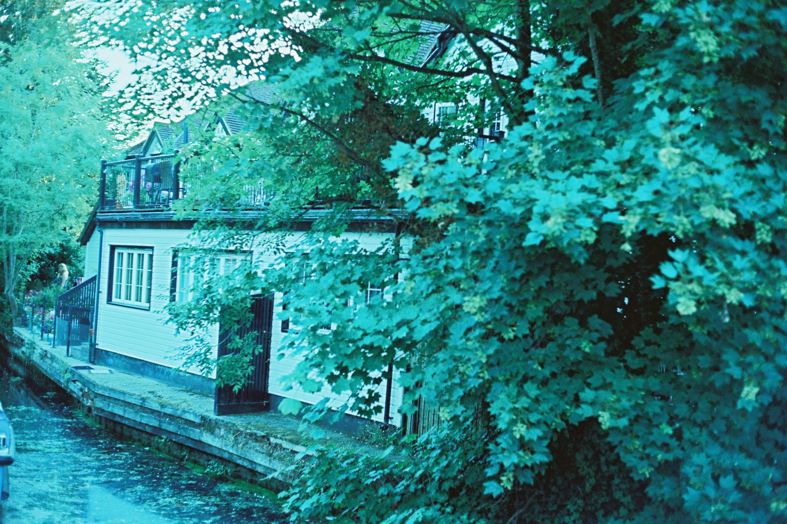 Teal-filtered house by canal with lush trees