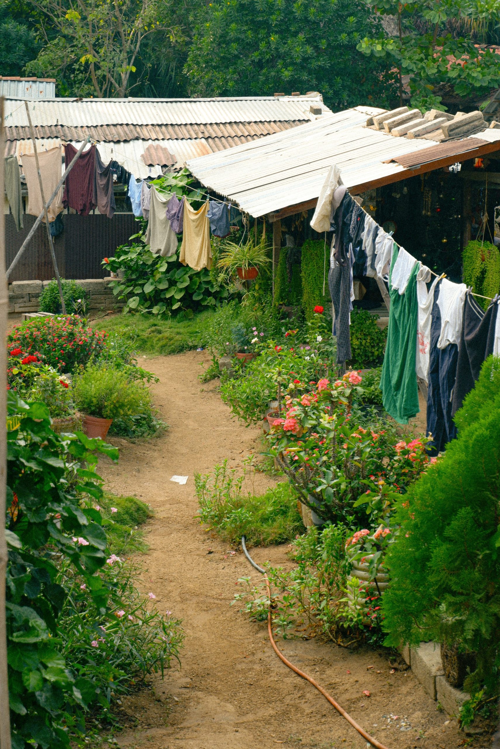 Winding dirt path through a vibrant garden with clotheslines.