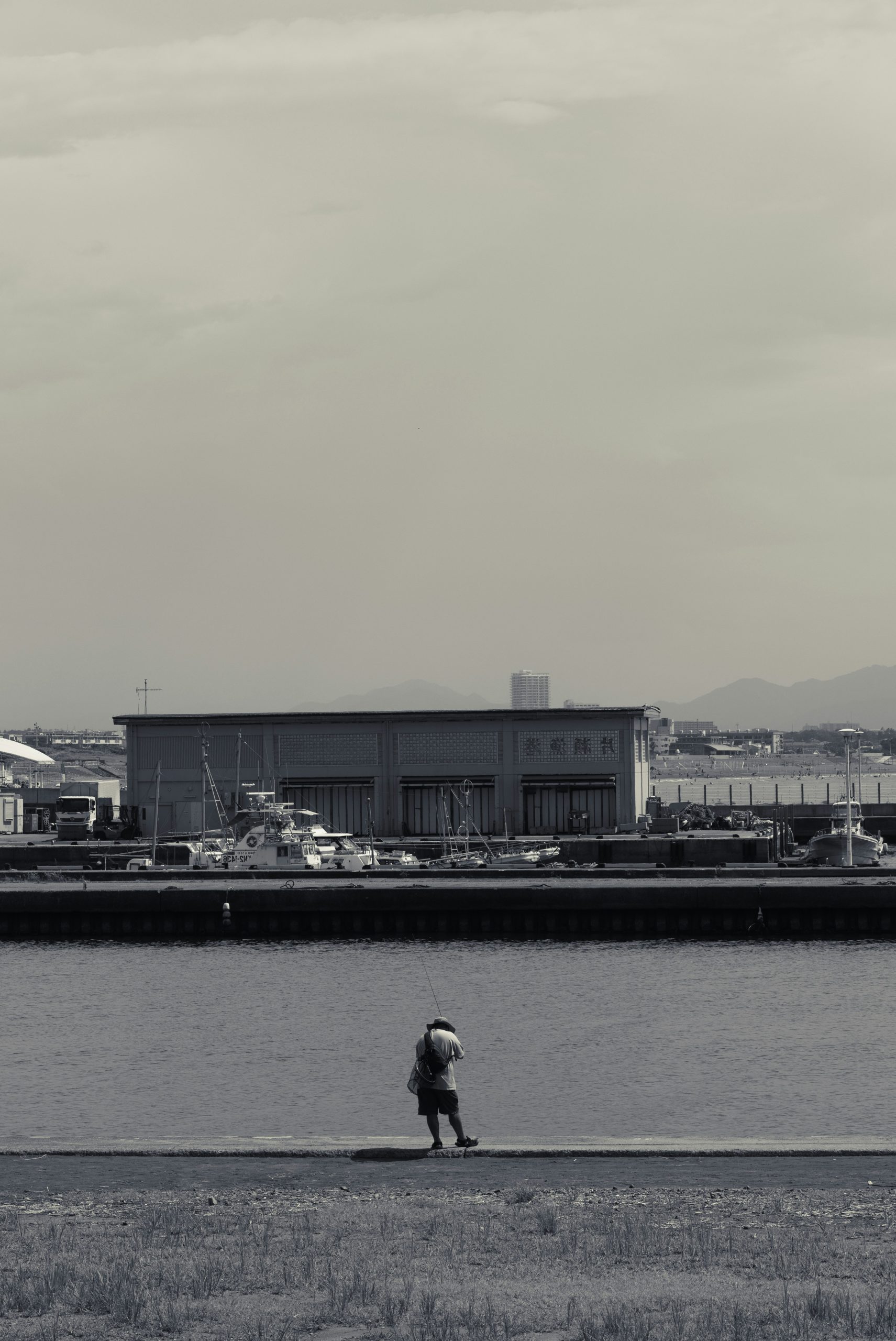 Lone figure on a pier overlooking a harbor.