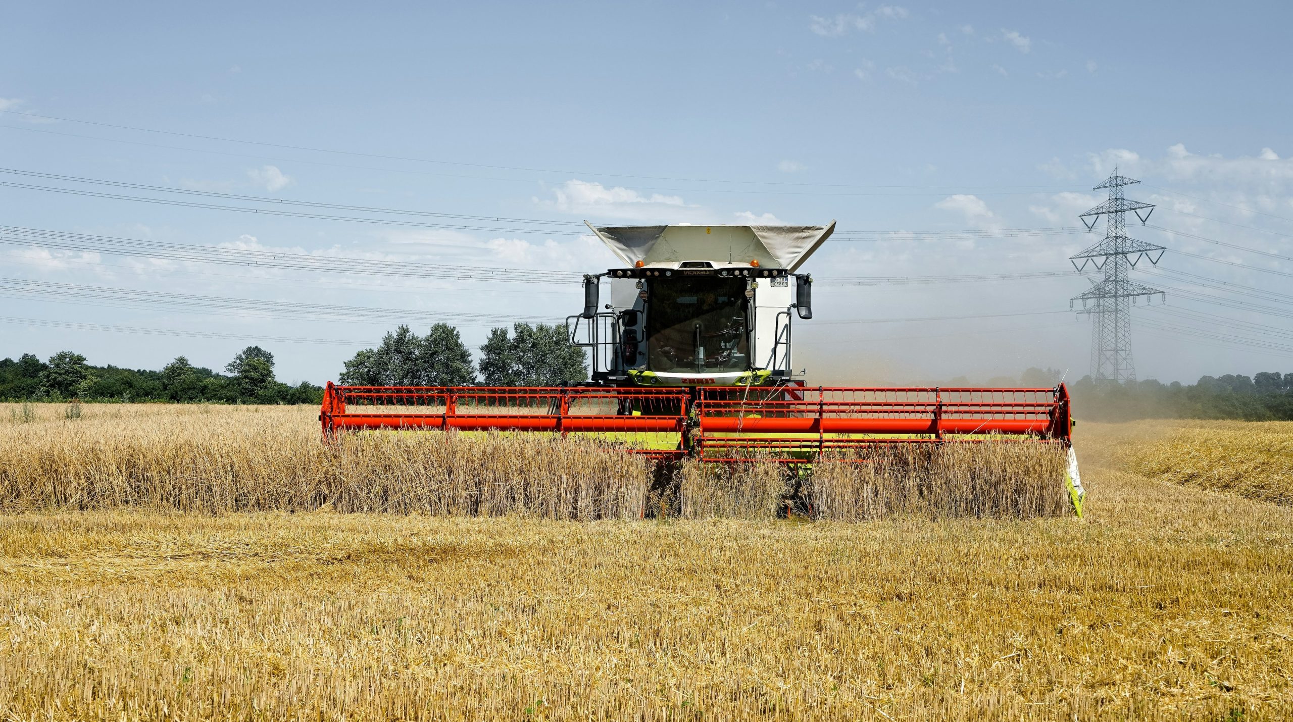 A combine harvester working in a golden wheat field.