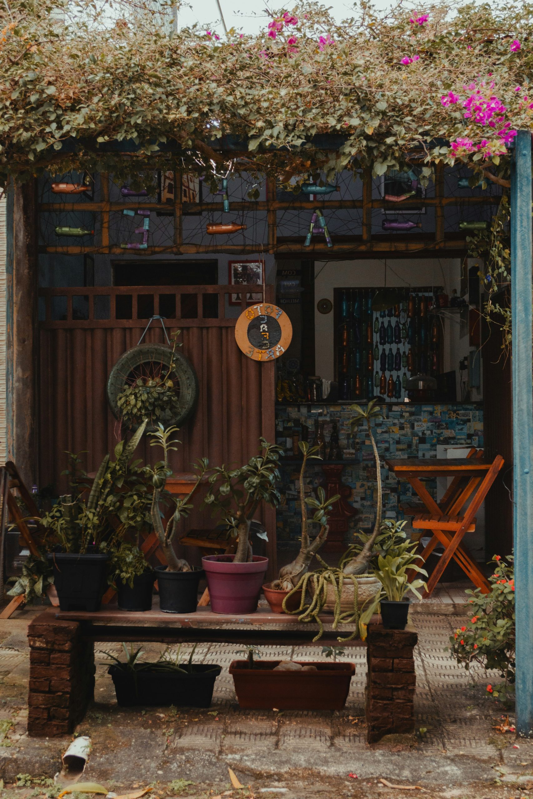 Rustic outdoor area with lush vines and potted plants.