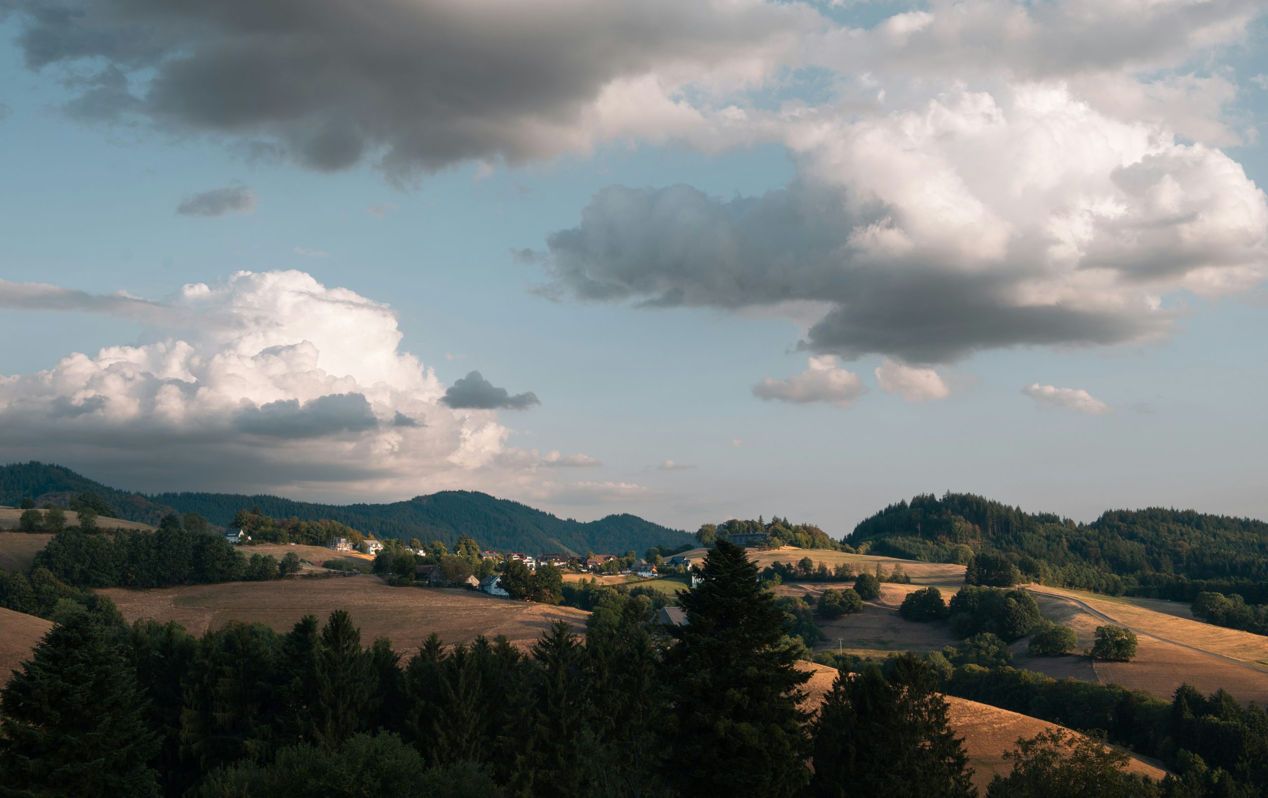 Golden fields and forests under a dramatic cloudy sky.