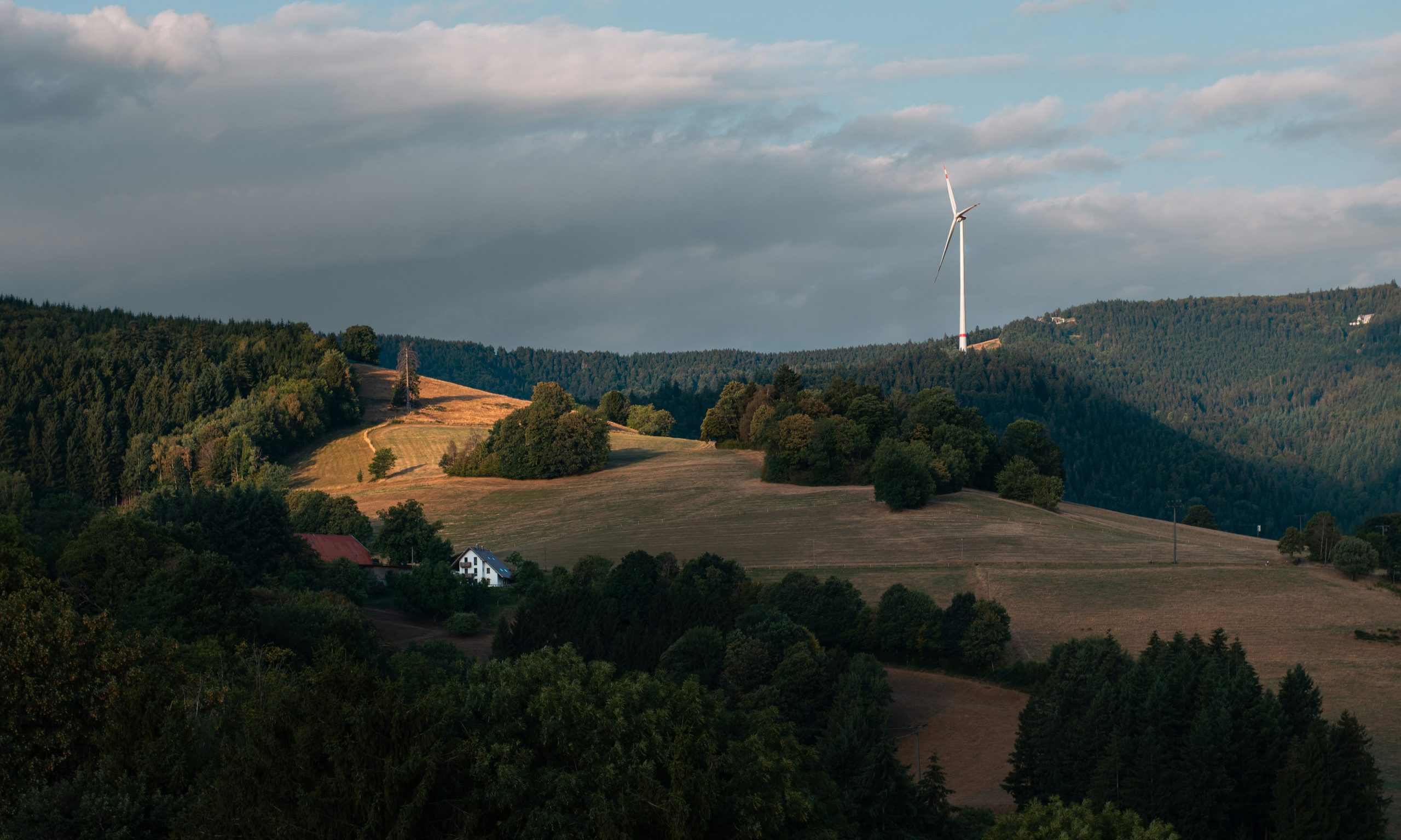 Sunlit rural landscape with forests, fields, and a wind turbine.