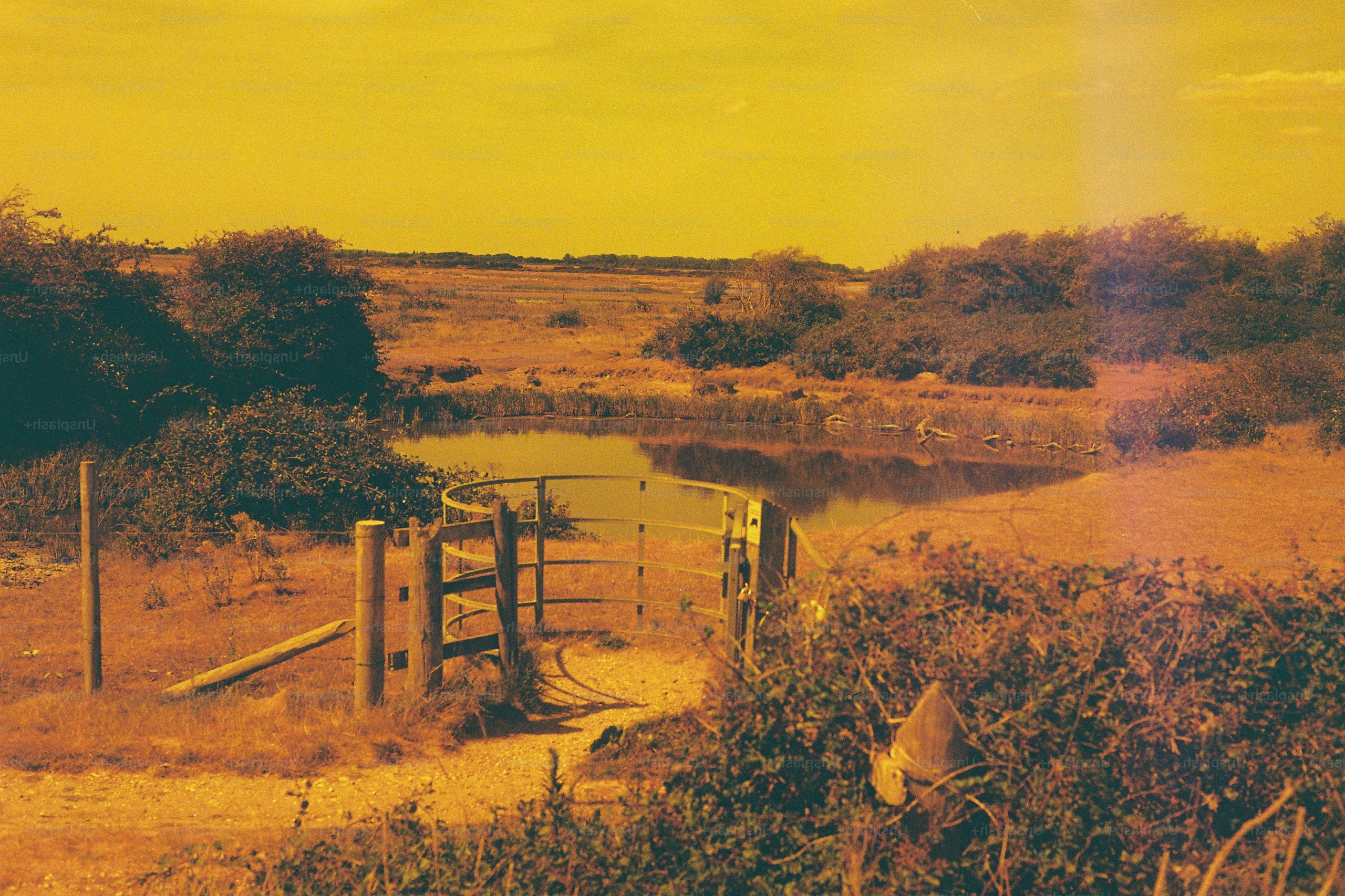 Warm-toned rural landscape with pond and wooden gate.