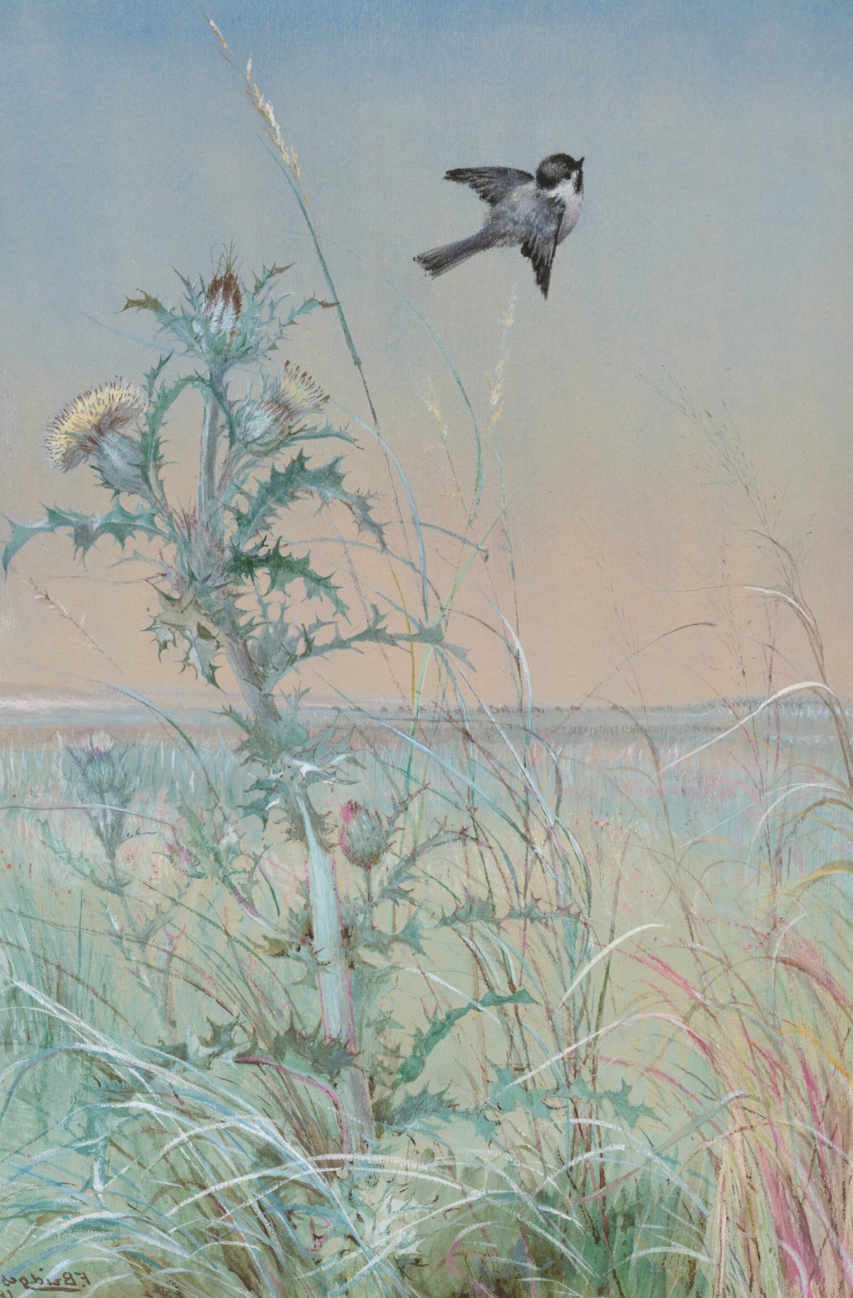 A small bird flying over a thistle plant and grasses.