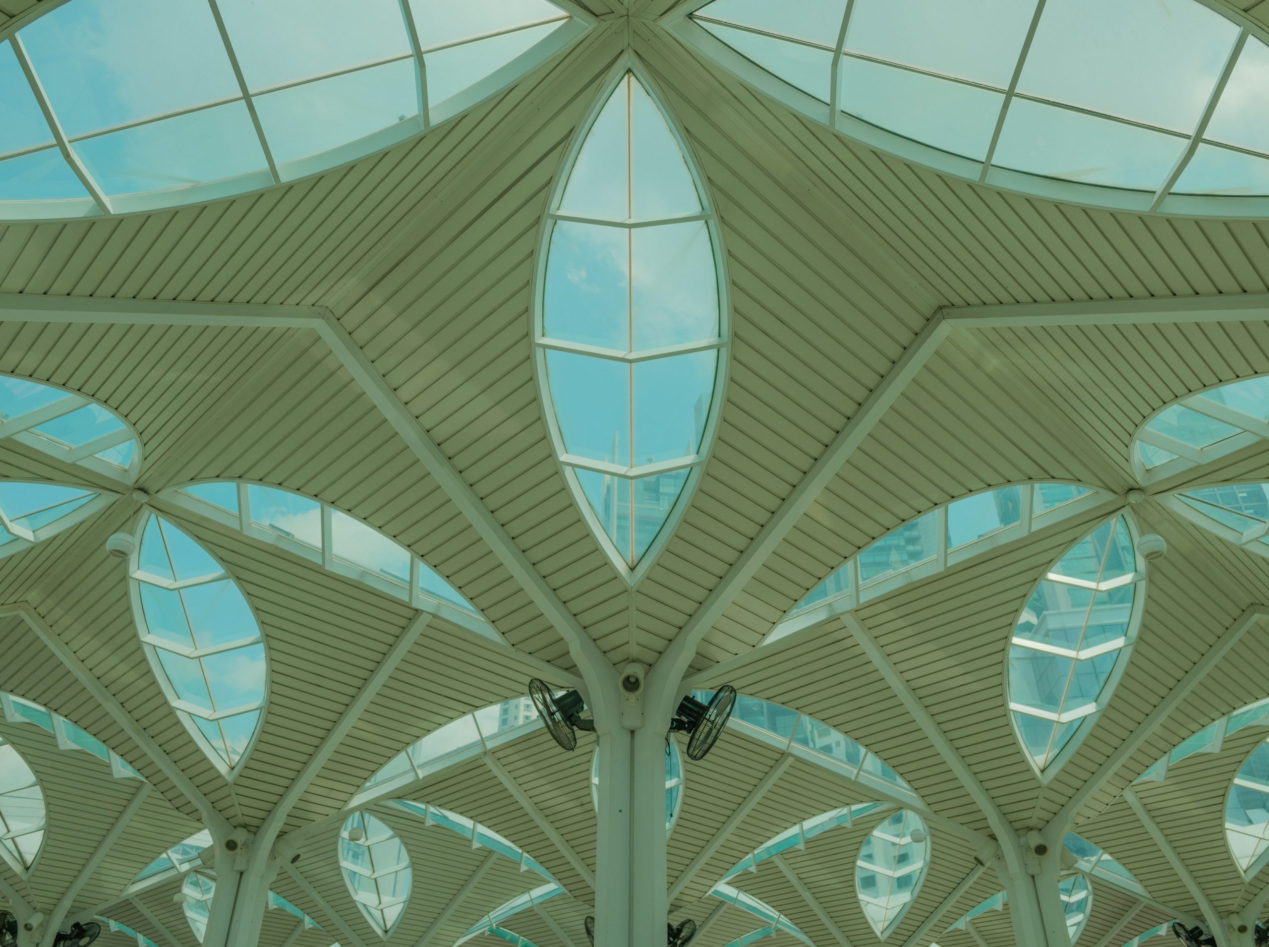 Modern architectural ceiling with leaf-shaped glass panels.