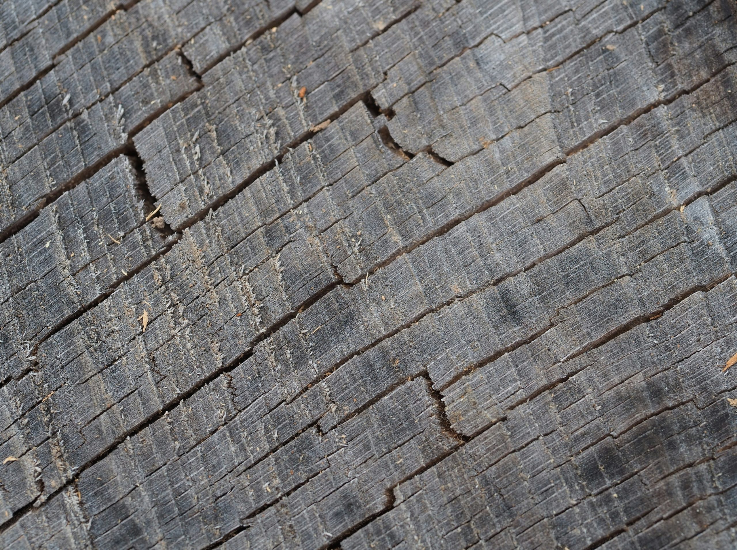 Weathered wood grain with diagonal cracks and texture.