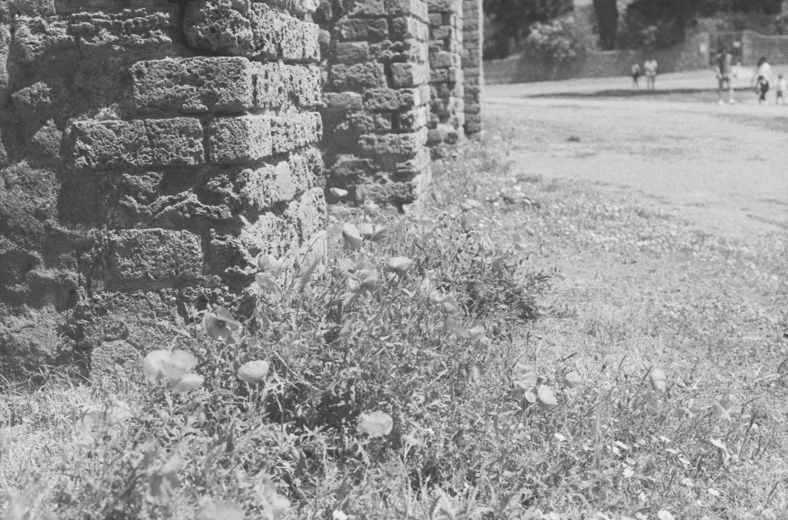 Old brick columns with grass and a dirt path.