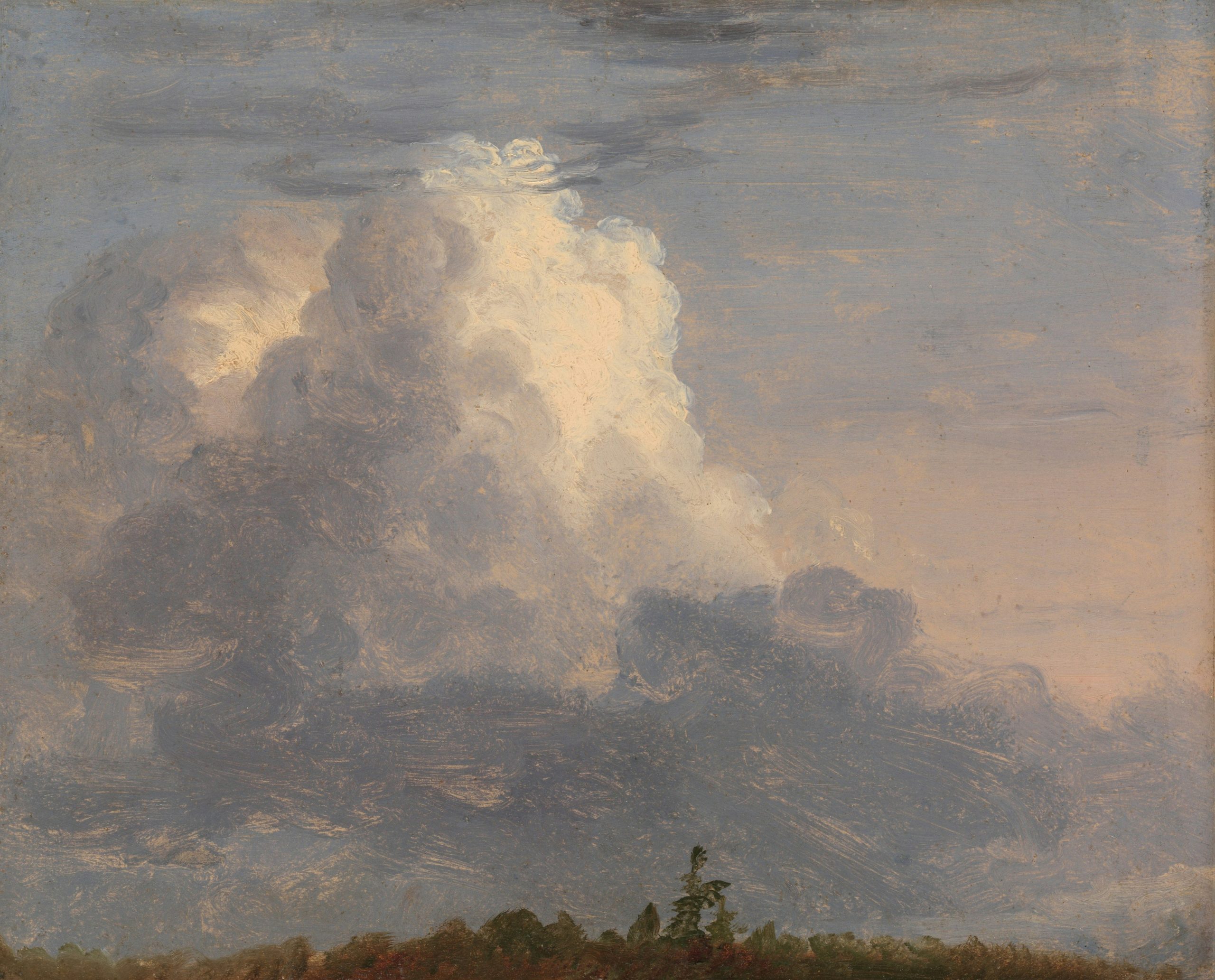 A large white cumulus cloud above a dark treeline against a blue sky.