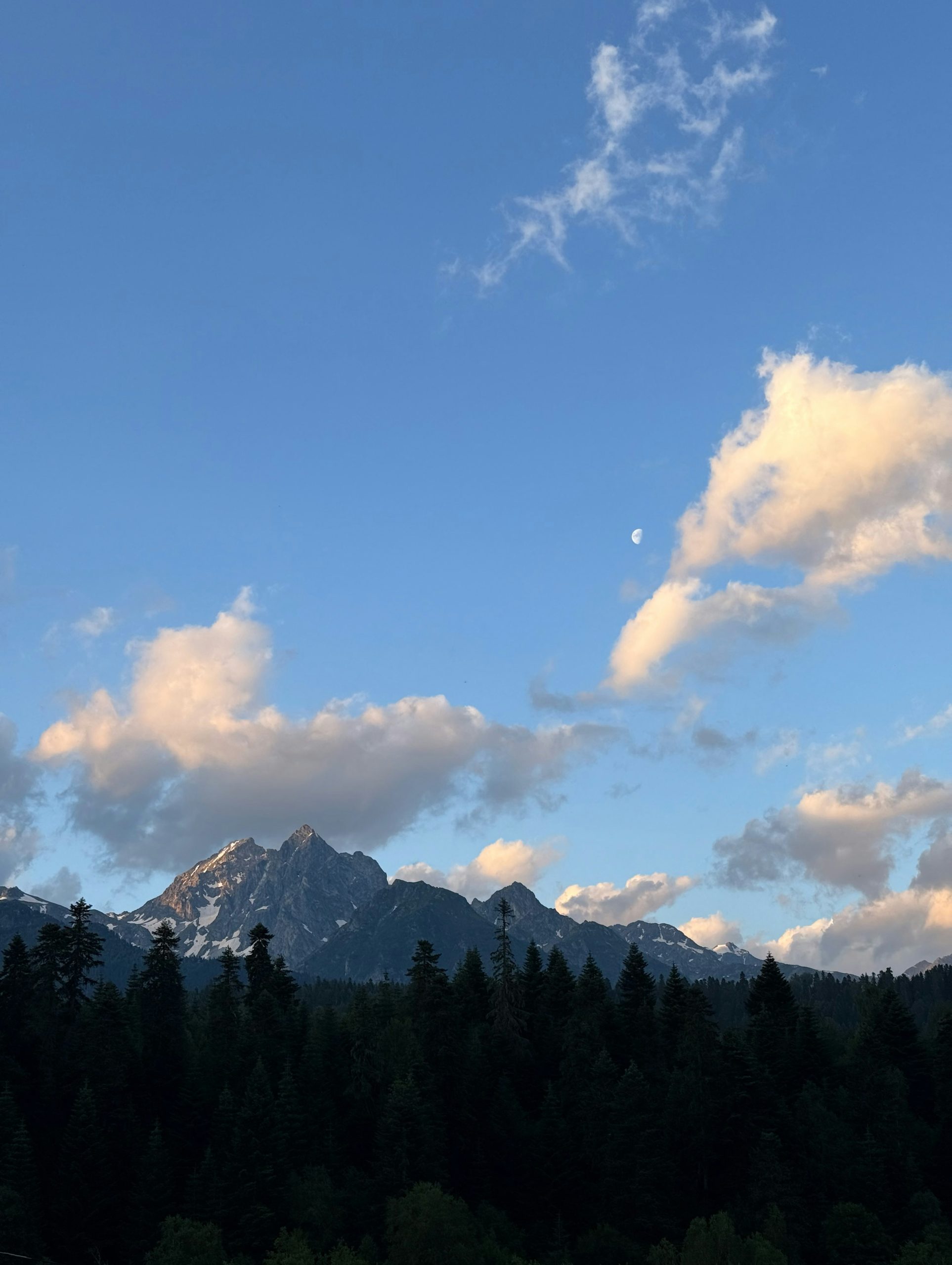 A crescent moon above snow-capped mountain peaks and a dark pine forest.