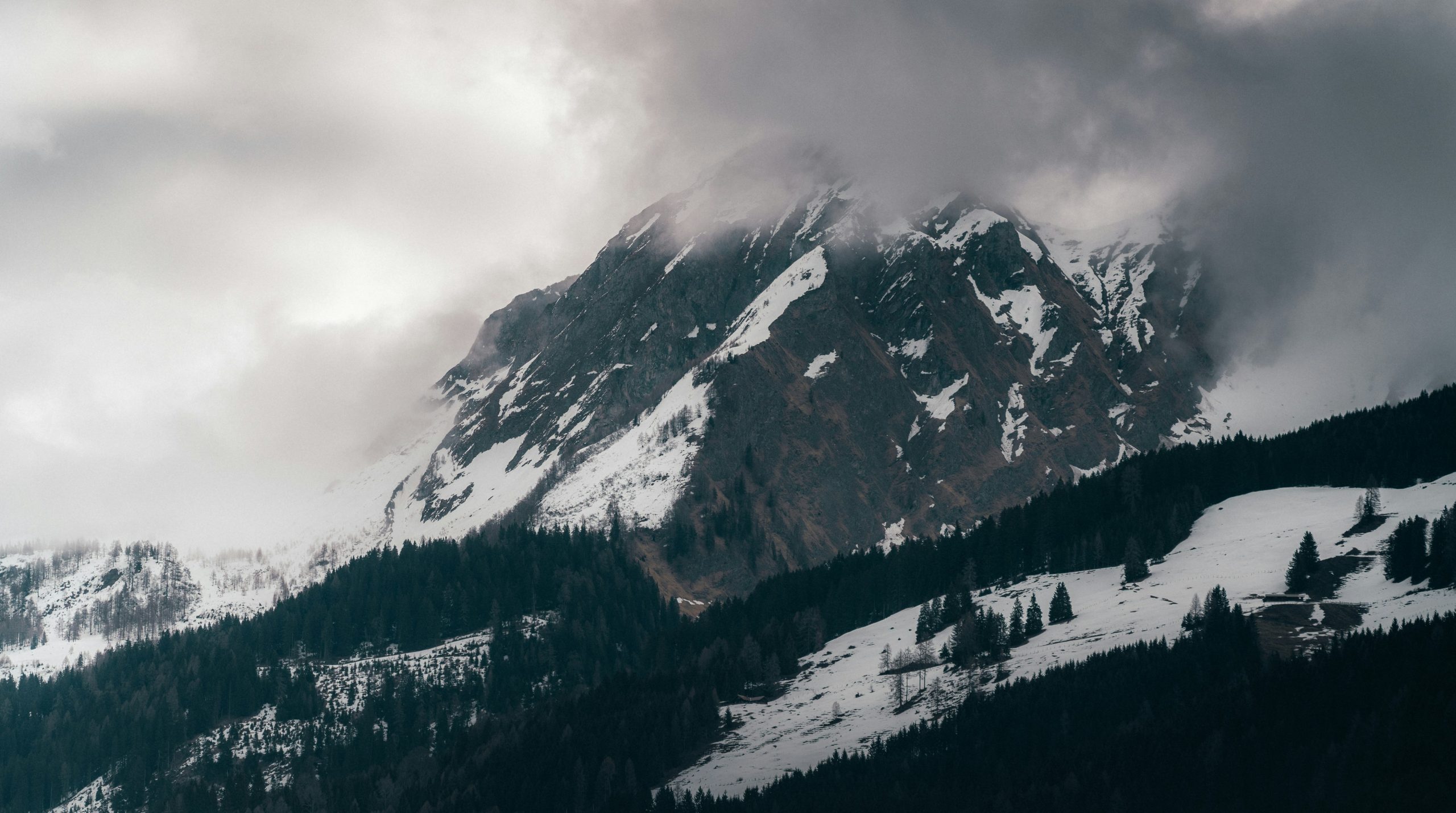A snow-covered mountain peak partially obscured by thick grey clouds above a pine forest.
