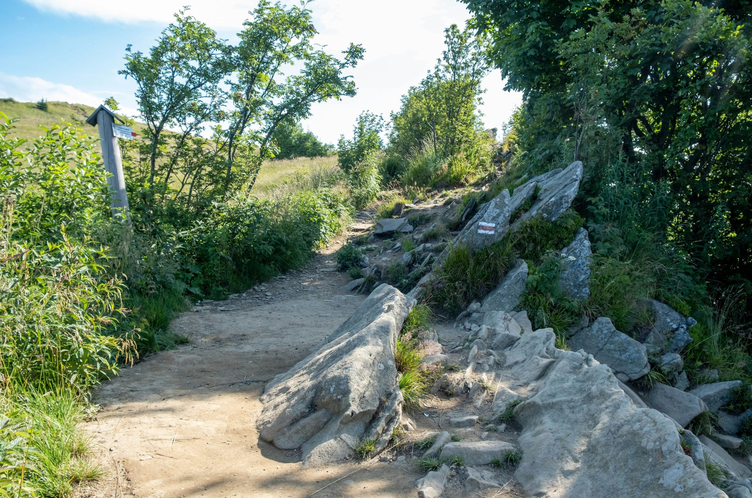 A dirt hiking trail winding through rocky terrain with green trees and shrubs.