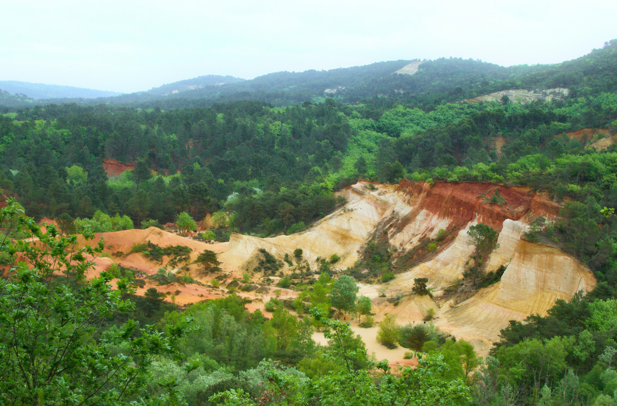 Red and yellow ochre cliffs rising above a dense green forest in Roussillon.