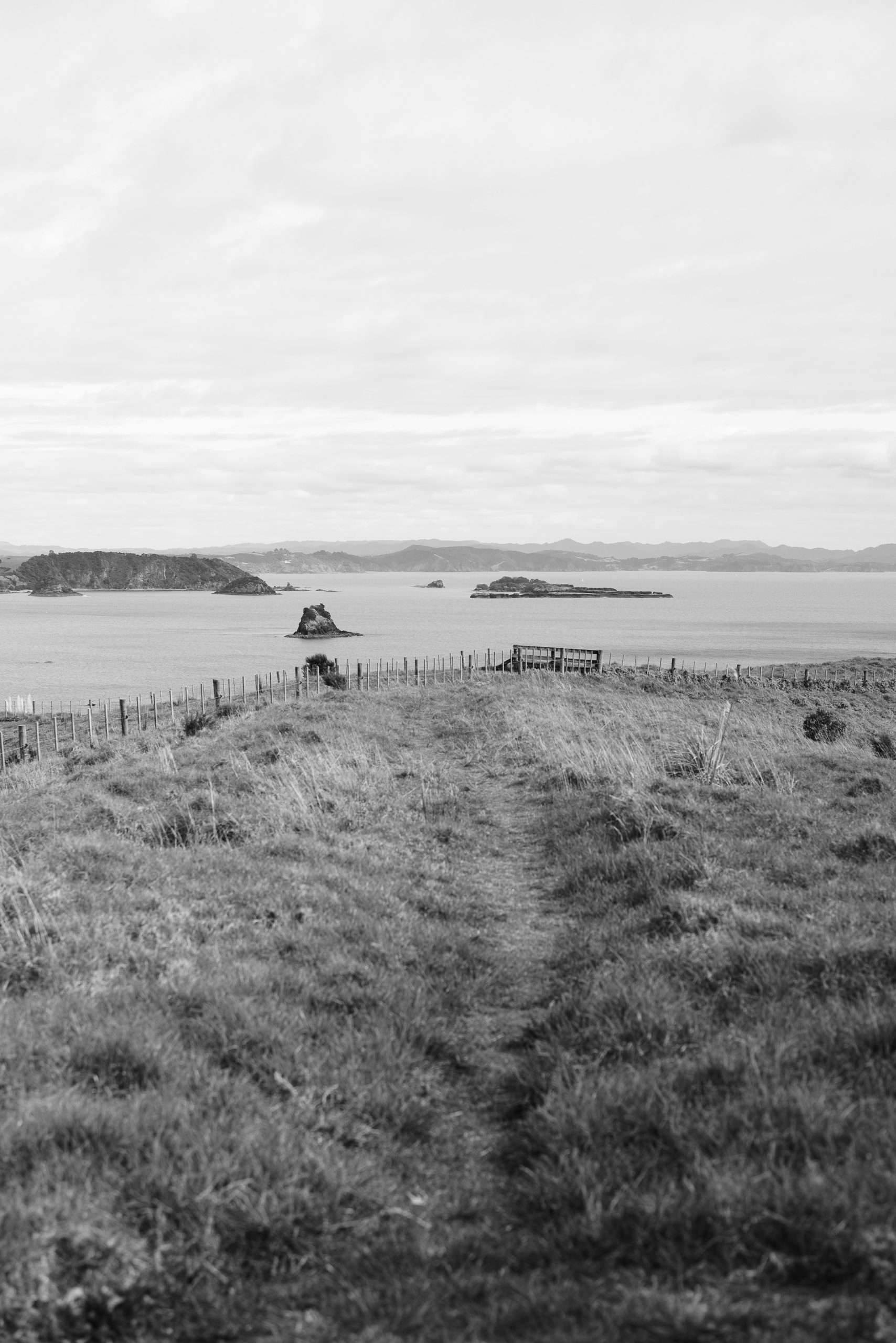 A grassy coastal path leading toward a wooden fence overlooking the ocean.