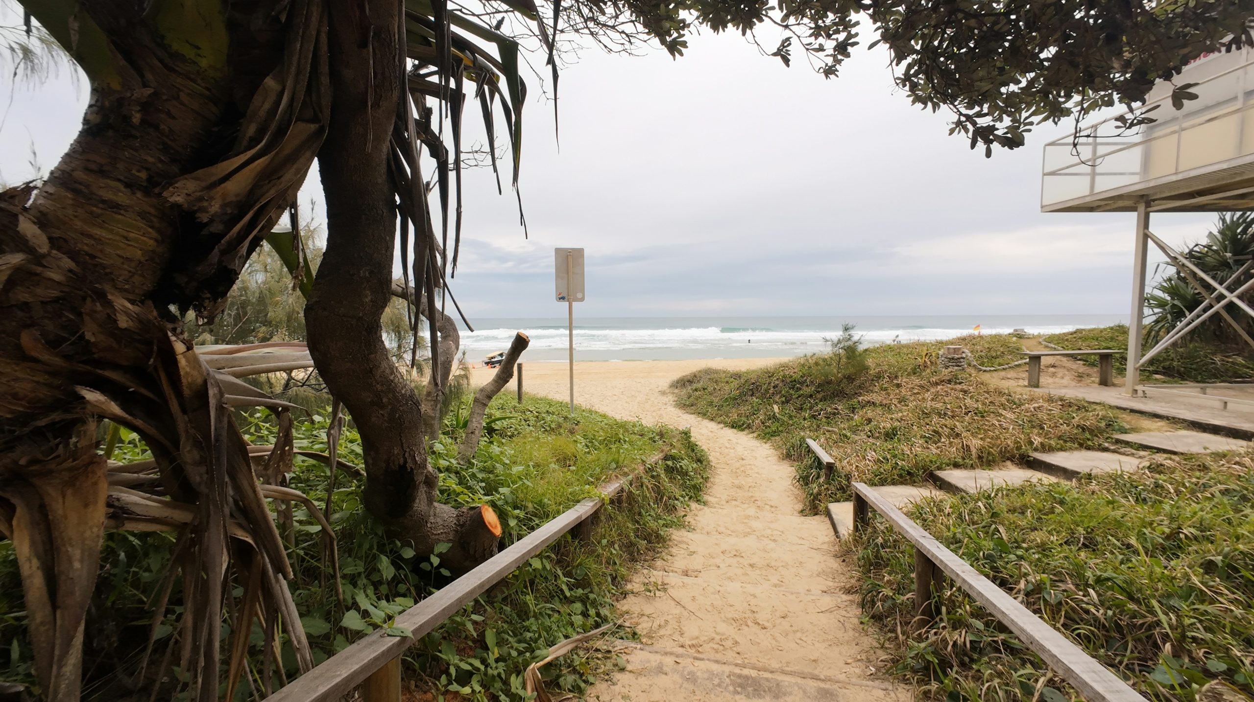 A sandy path leading through coastal dunes to a beach with ocean waves.