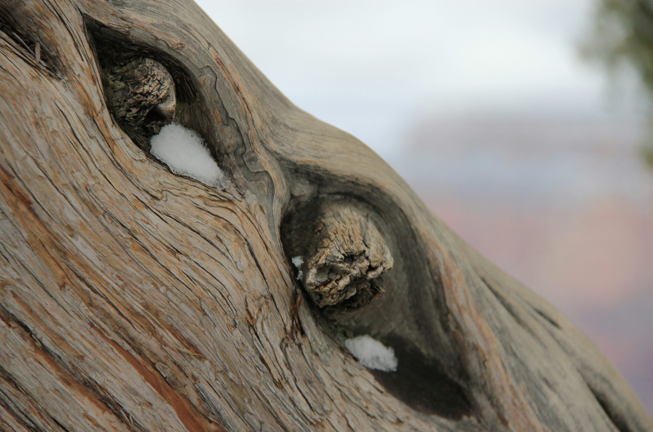 brown wood with water droplets