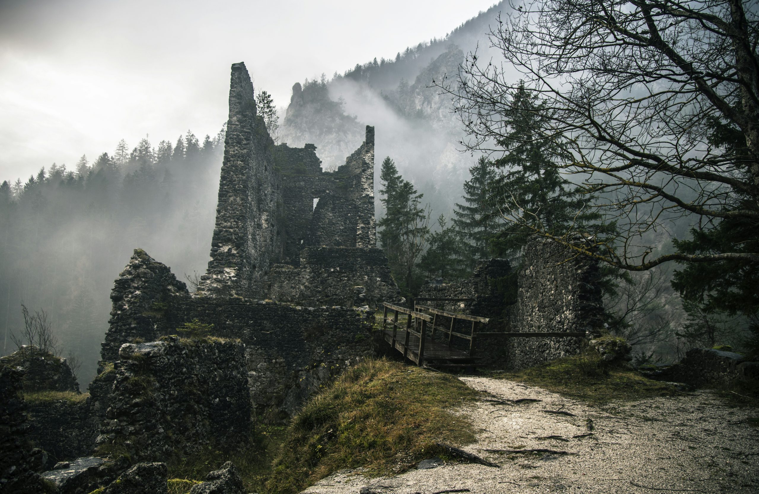 ruins near trees with fogs during daytime