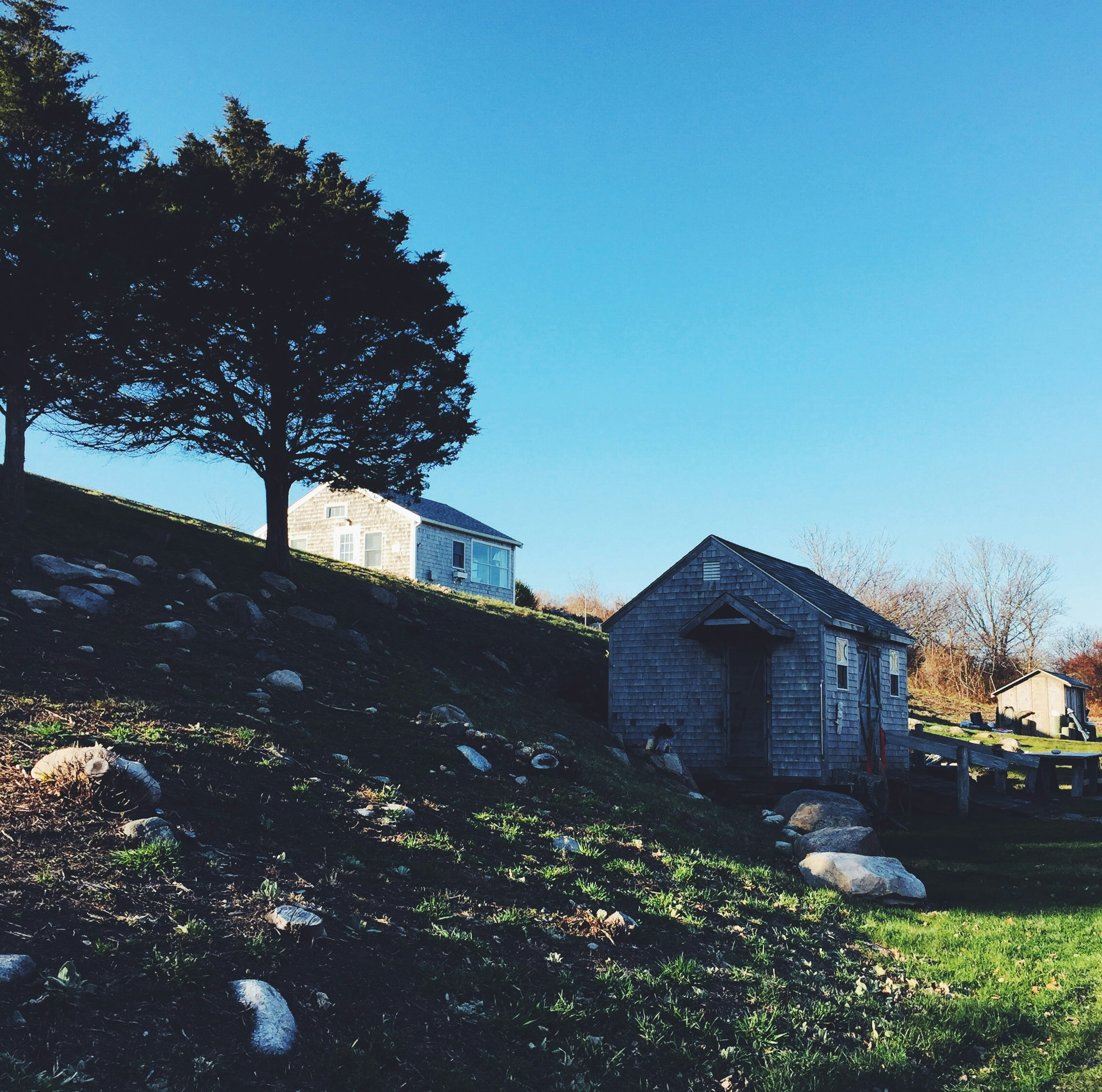 white and brown house near green trees under blue sky during daytime
